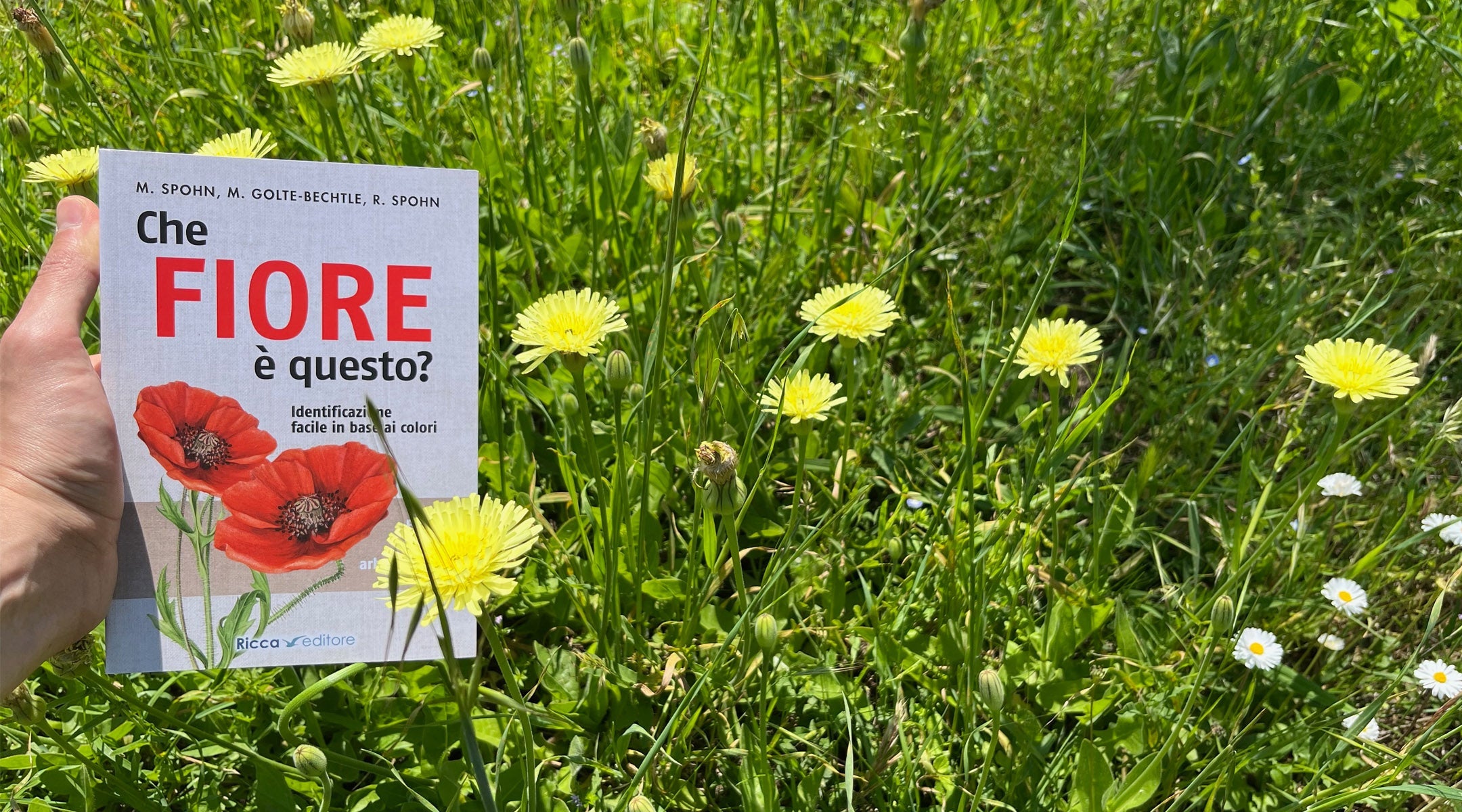 Botanica, Fiori, Giardini, Piante