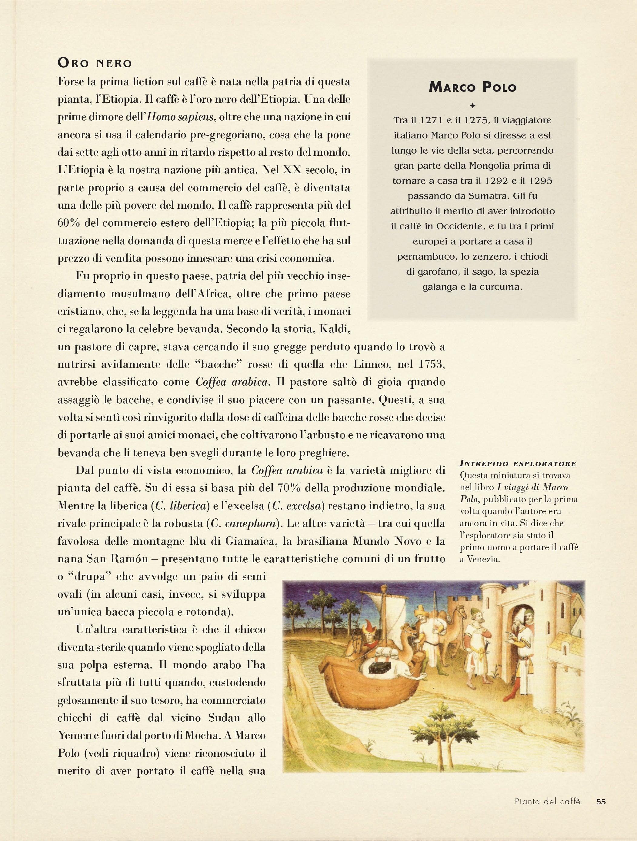50 piante che hanno cambiato il corso della storia