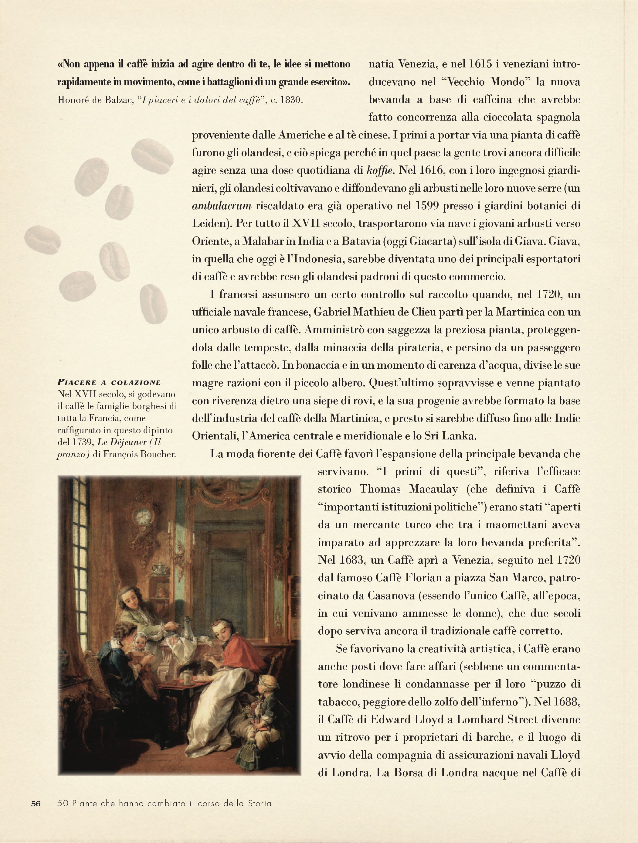 50 piante che hanno cambiato il corso della storia