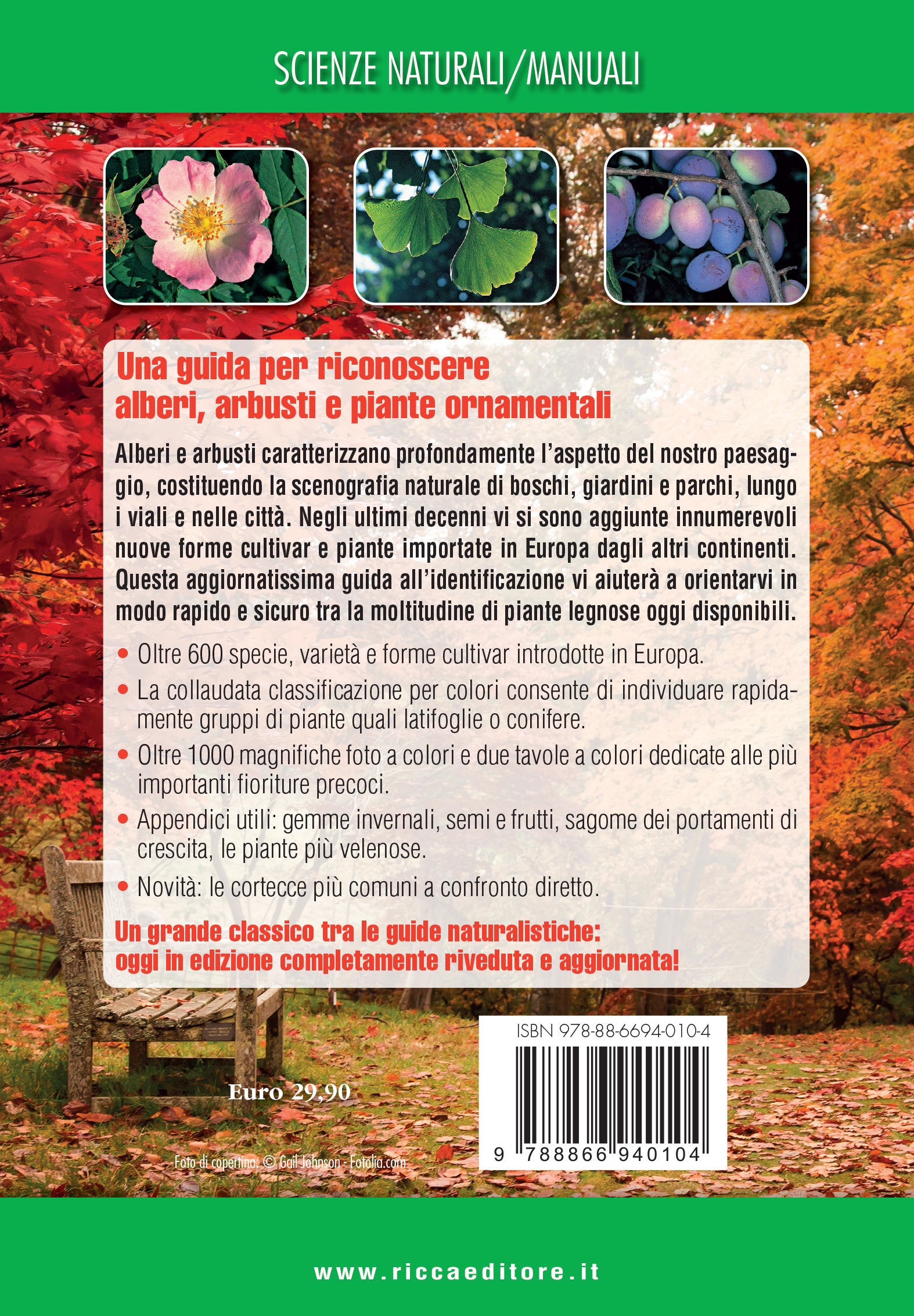 Che albero è questo? Guida al riconoscimento di arbusti, alberi e piante ornamentali
