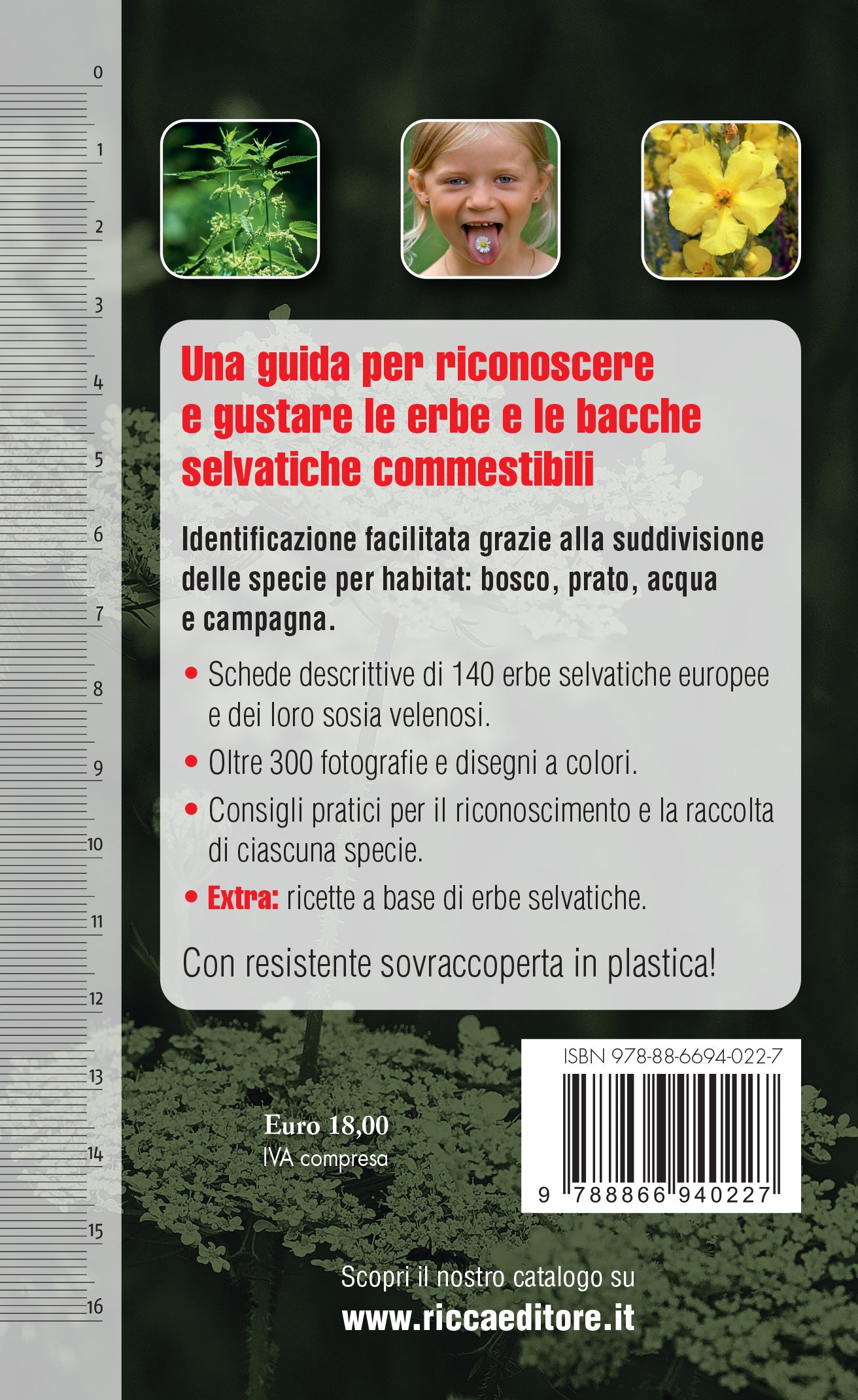 erbe e frutti selvatici commestibili ricca editore quarta copertina