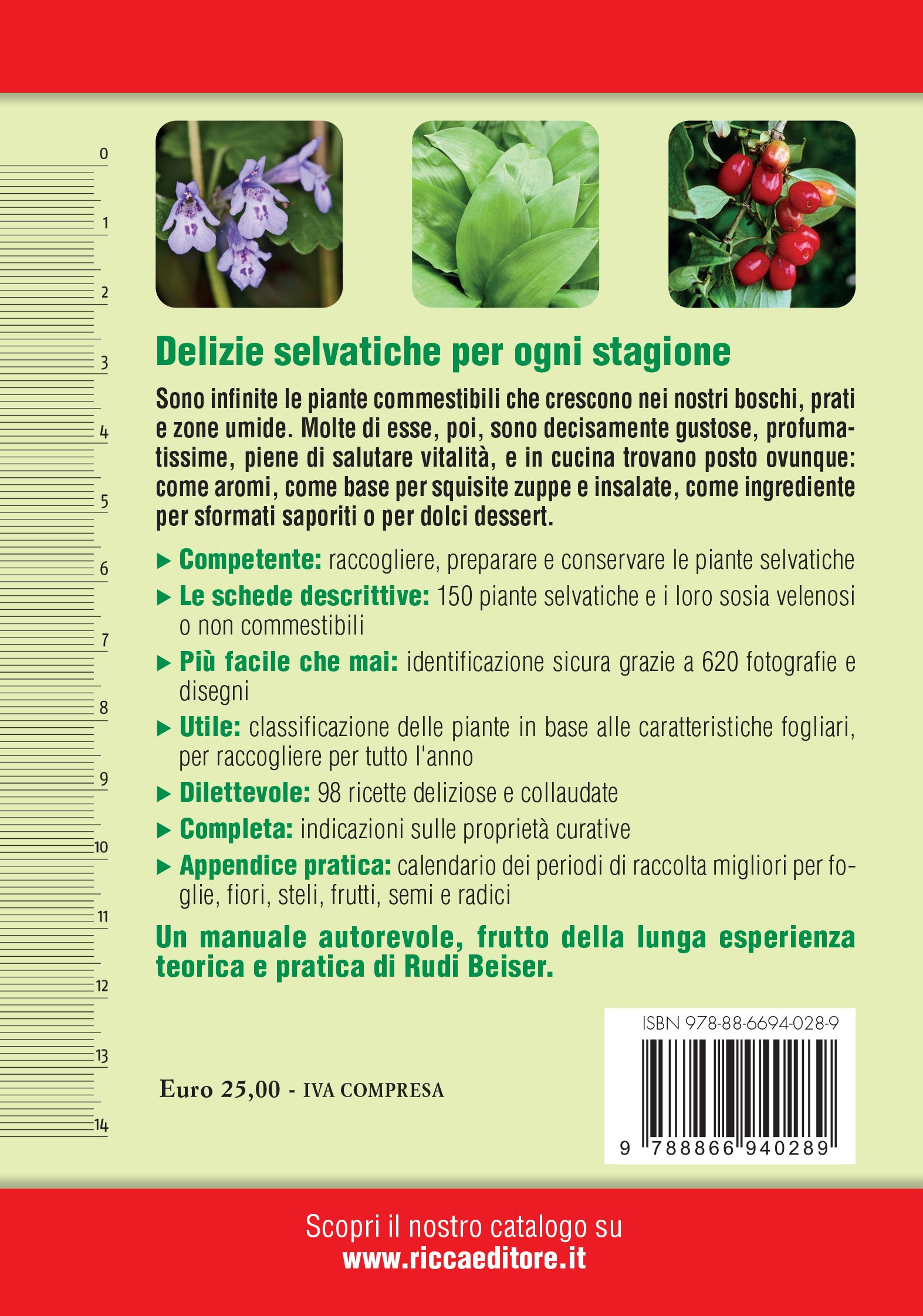 Piante selvatiche commestibili. Come identificarle, raccoglierle e prepararle