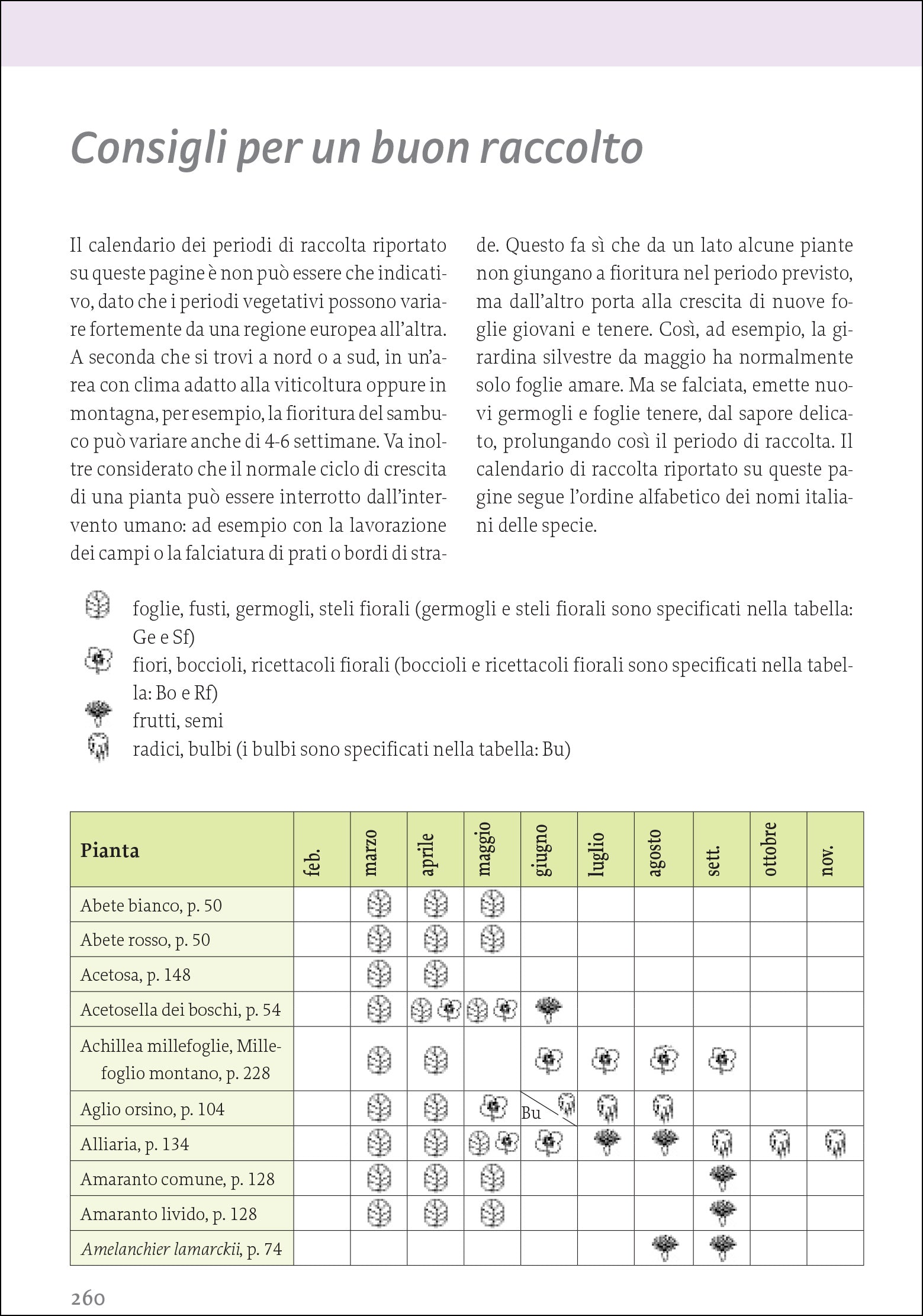 Piante selvatiche commestibili. Come identificarle, raccoglierle e prepararle