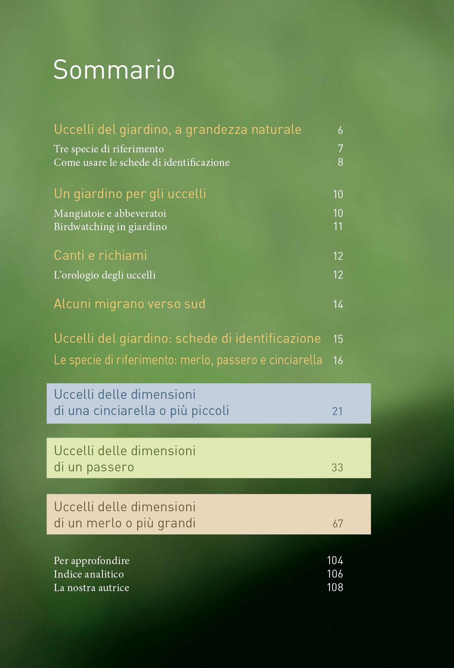 Birdgardening. Uccelli del giardino a grandezza naturale