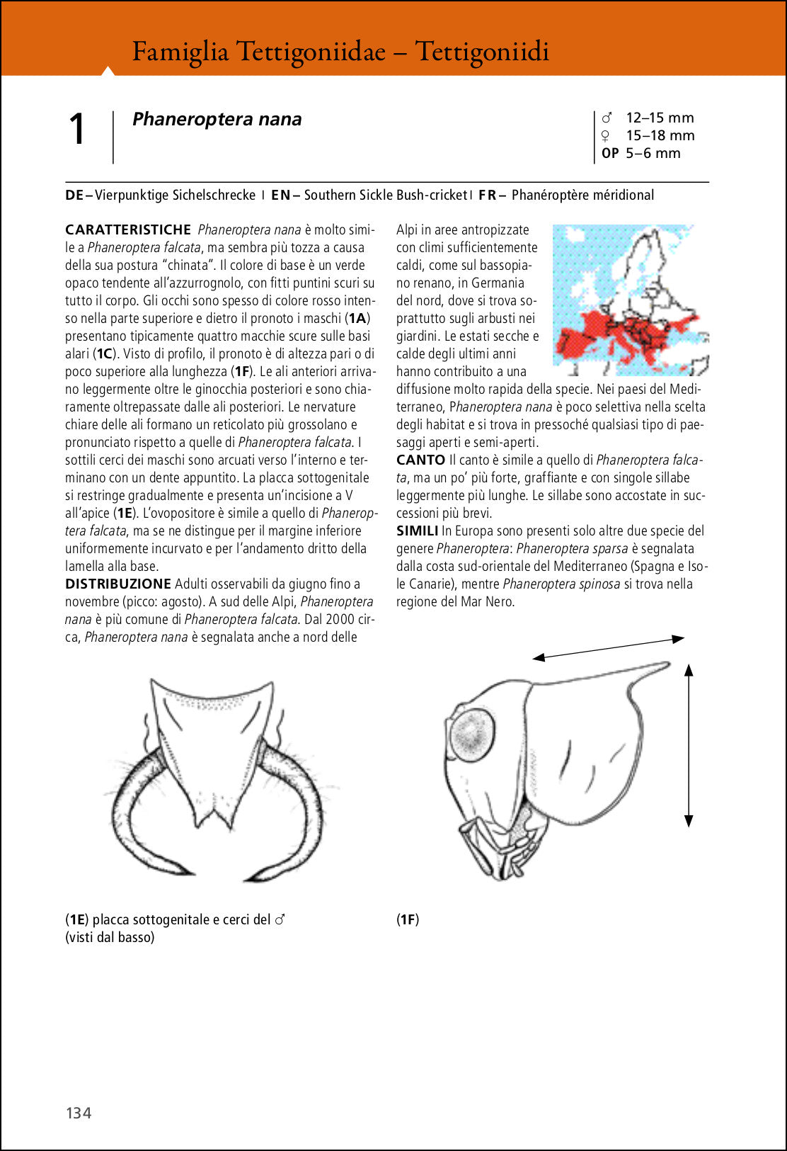 Grilli e cavallette d'Europa. Guida illustrata con oltre 280 specie di Ortotteri