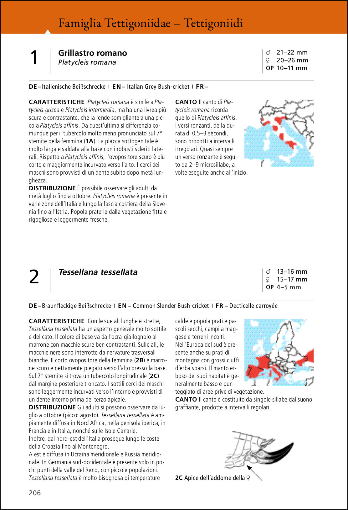 Grilli e cavallette d'Europa. Guida illustrata con oltre 280 specie di Ortotteri