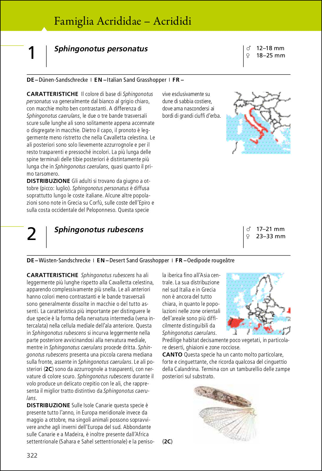 Grilli e cavallette d'Europa. Guida illustrata con oltre 280 specie di Ortotteri