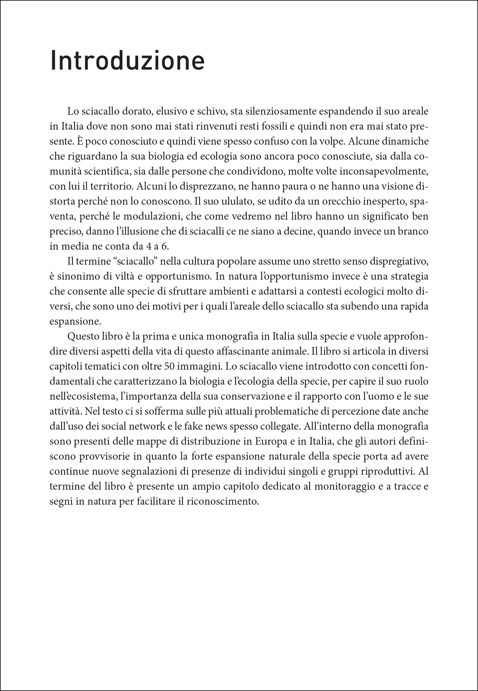 Lo sciacallo dorato in Italia
