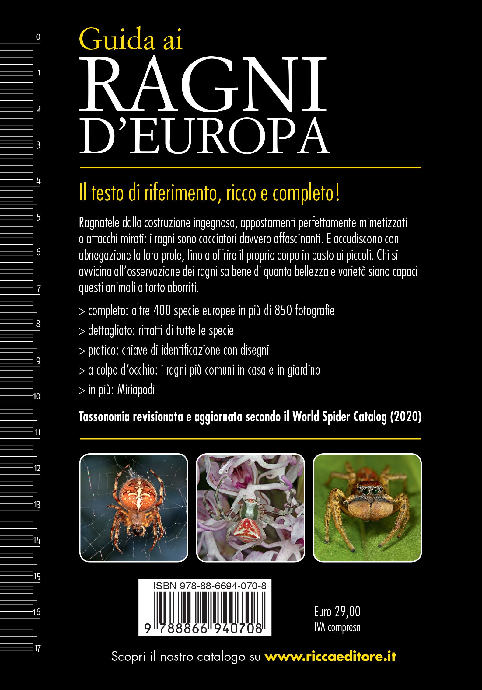 Guida ai ragni d'Europa