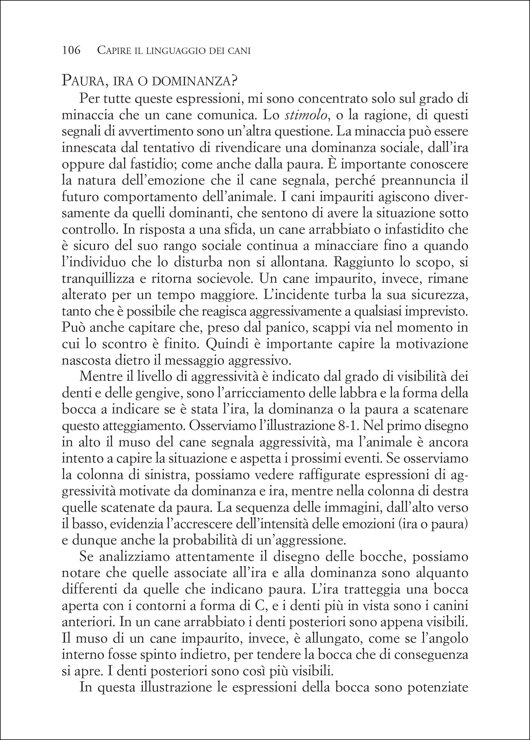 Capire il linguaggio dei cani