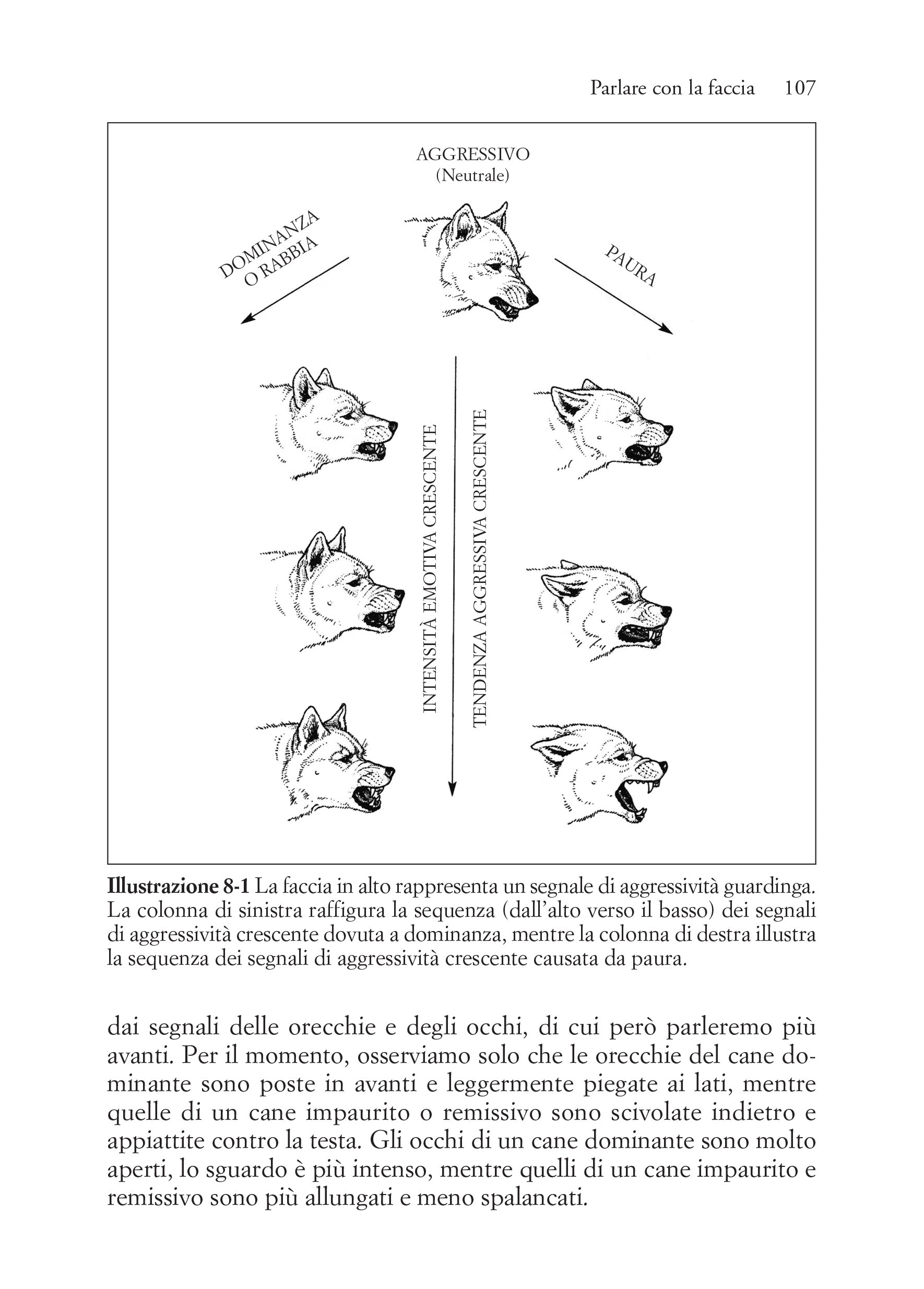 Capire il linguaggio dei cani