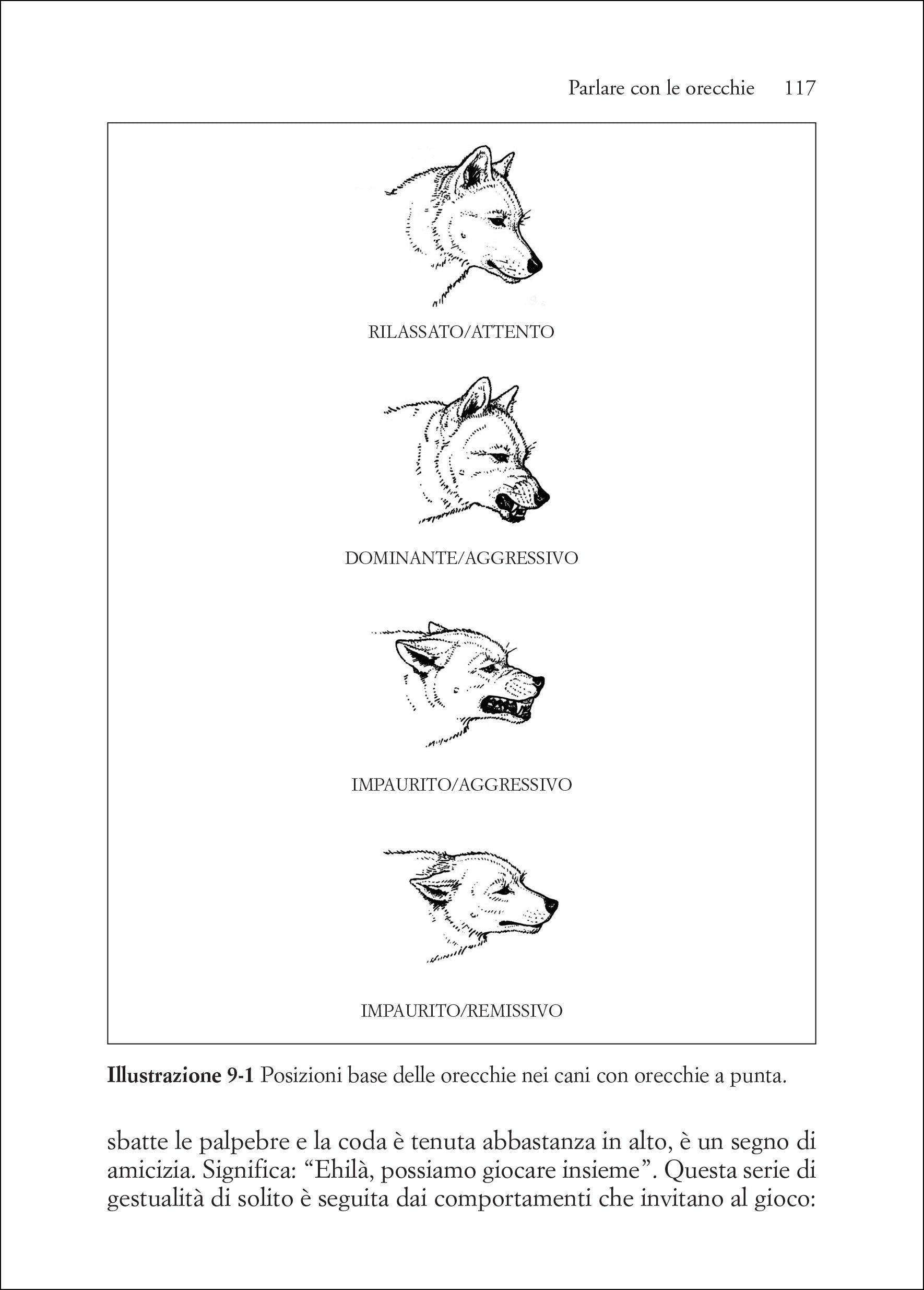 Capire il linguaggio dei cani