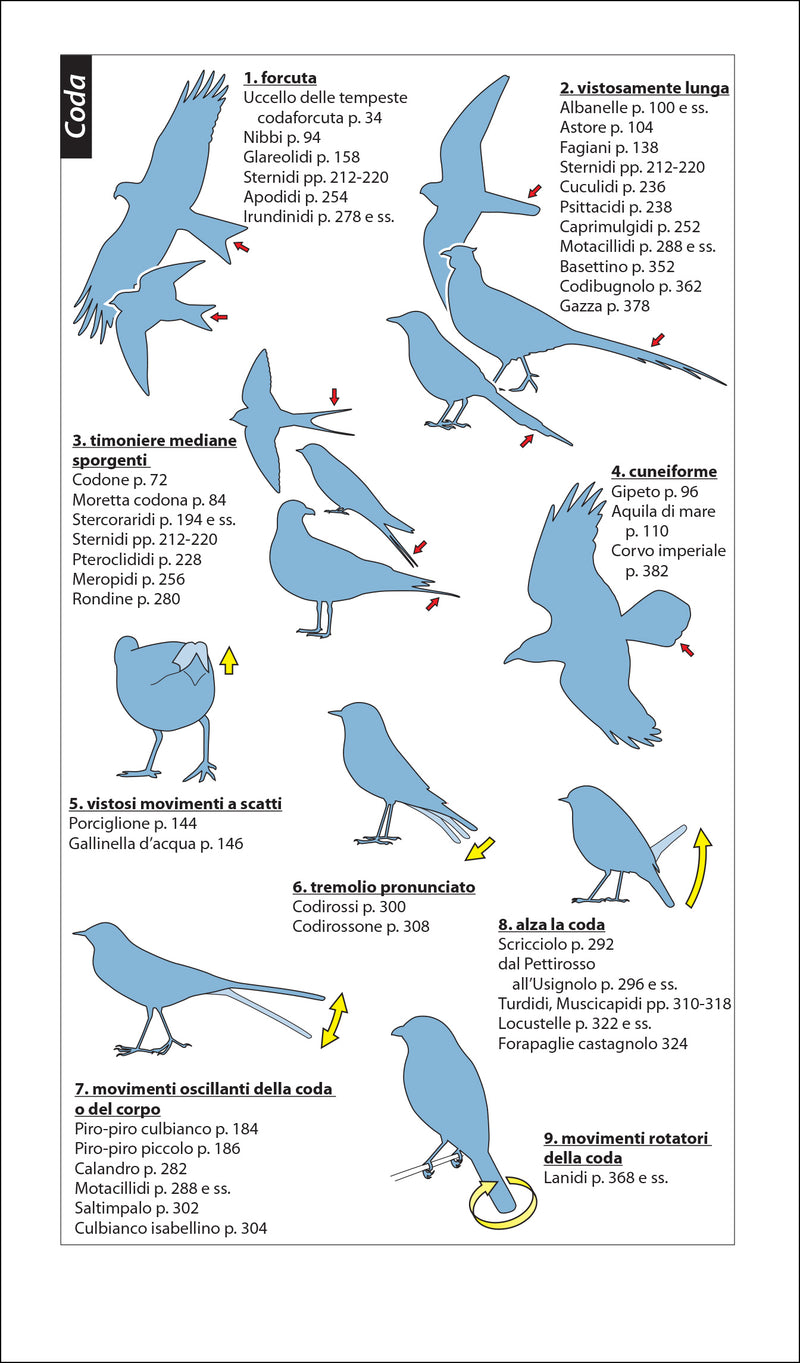 Birdwatching facile. Guida illustrata degli uccelli d'Europa