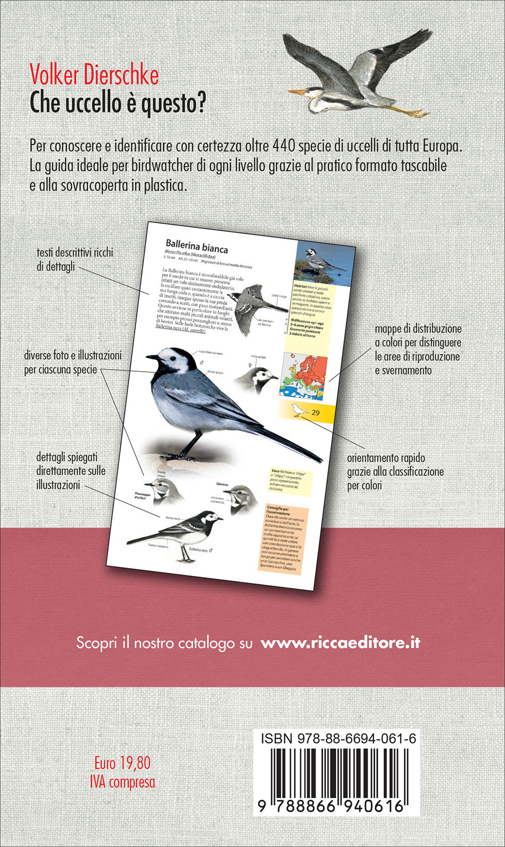 Che uccello è questo?