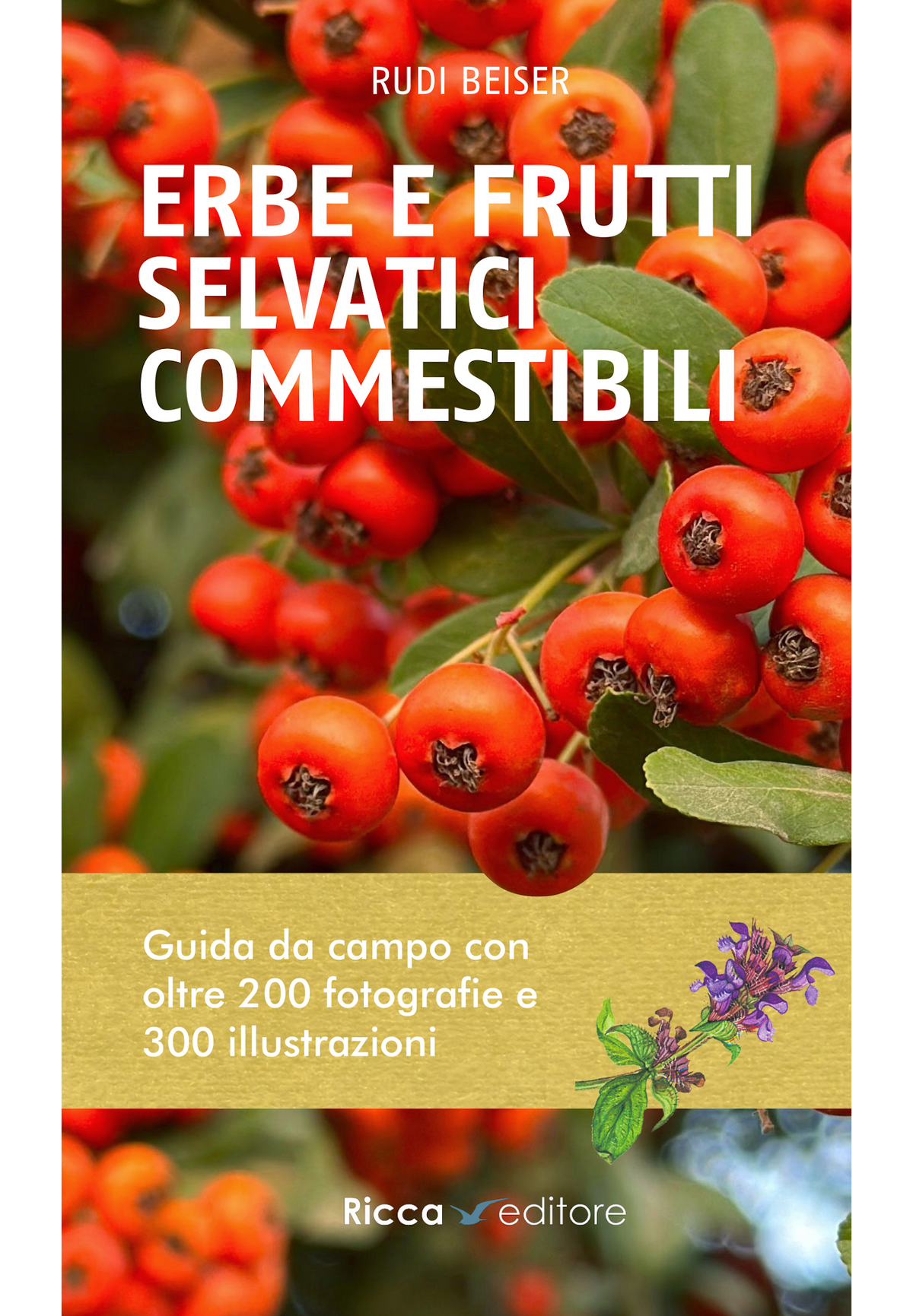 Erbe e frutti selvatici commestibili