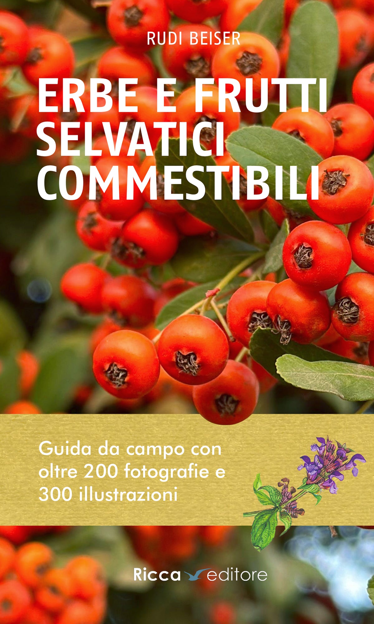 Erbe e frutti selvatici commestibili