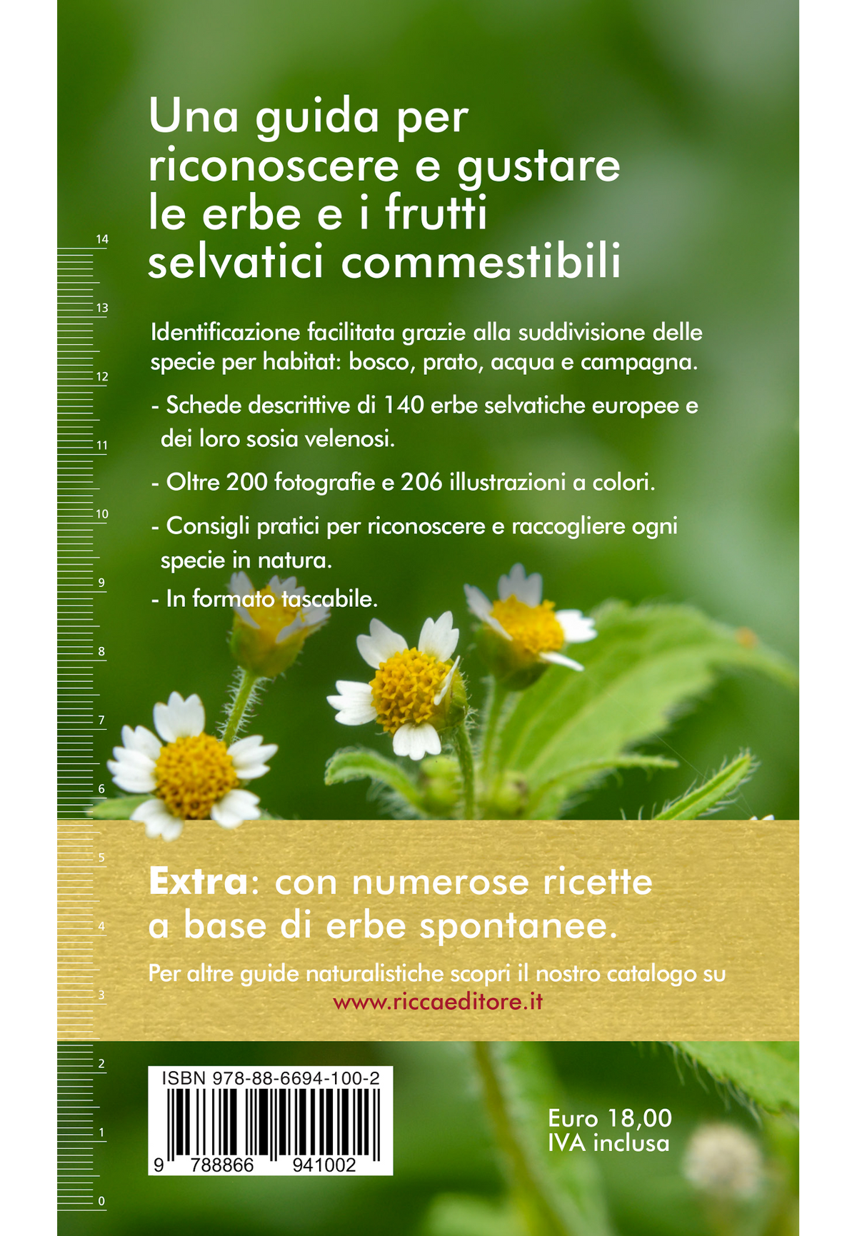 Erbe e frutti selvatici commestibili
