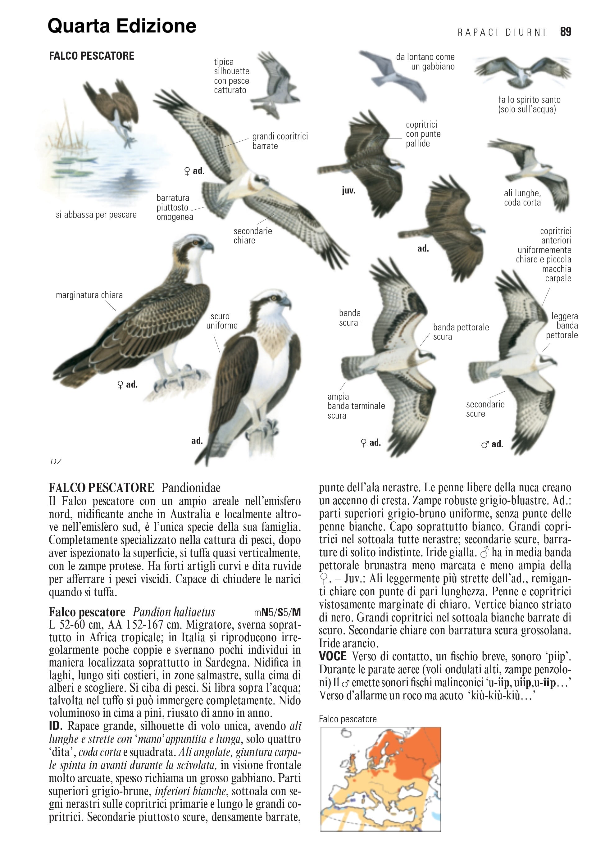 Guida degli uccelli d'Europa, Nord Africa e Vicino Oriente