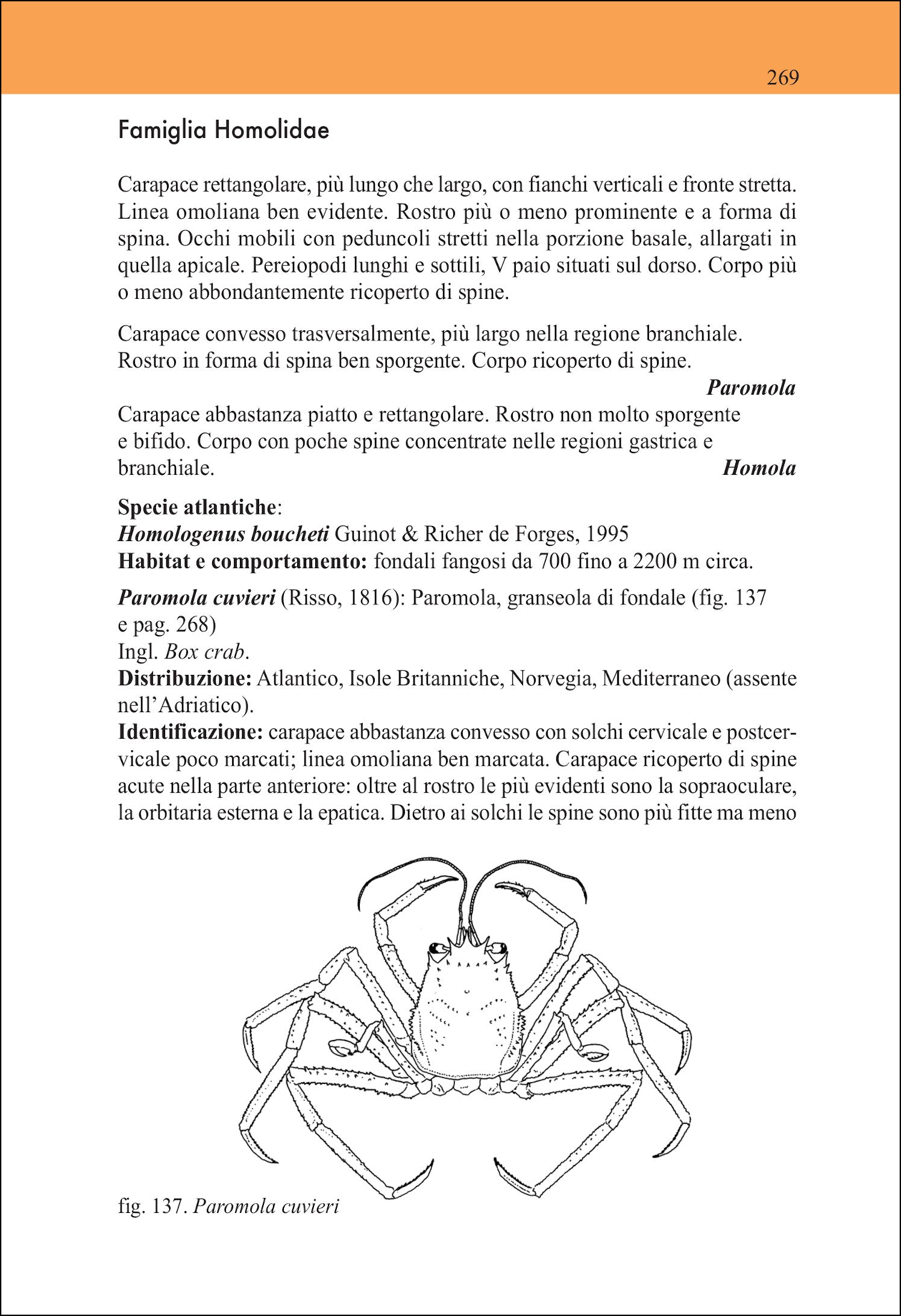 Guida ai crostacei decapodi d'Europa