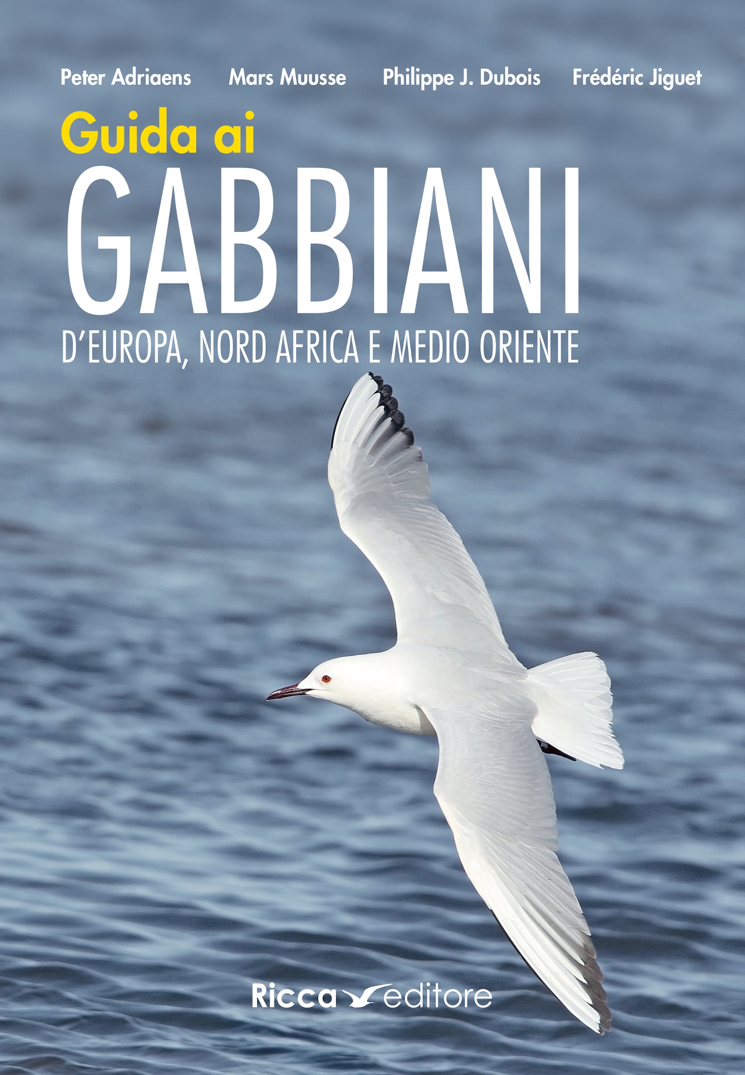 libro guida ai gabbiani europa nord africa medio oriente prima copertina