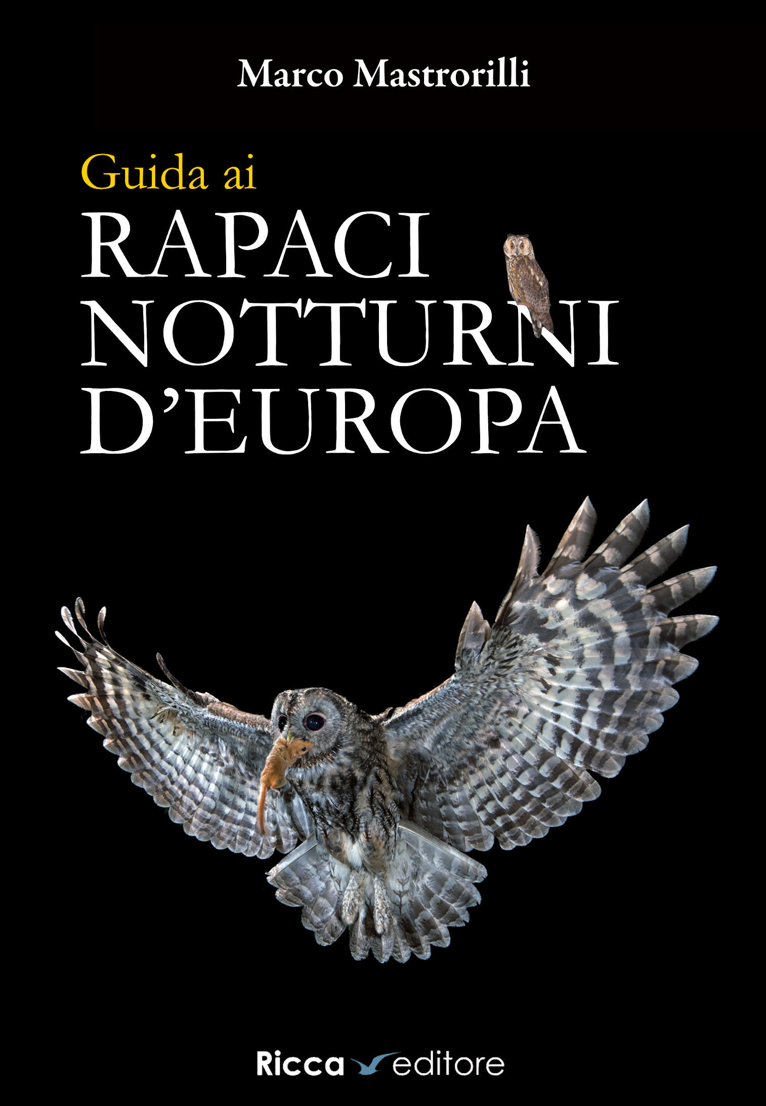 Guida ai rapaci notturni d'Europa