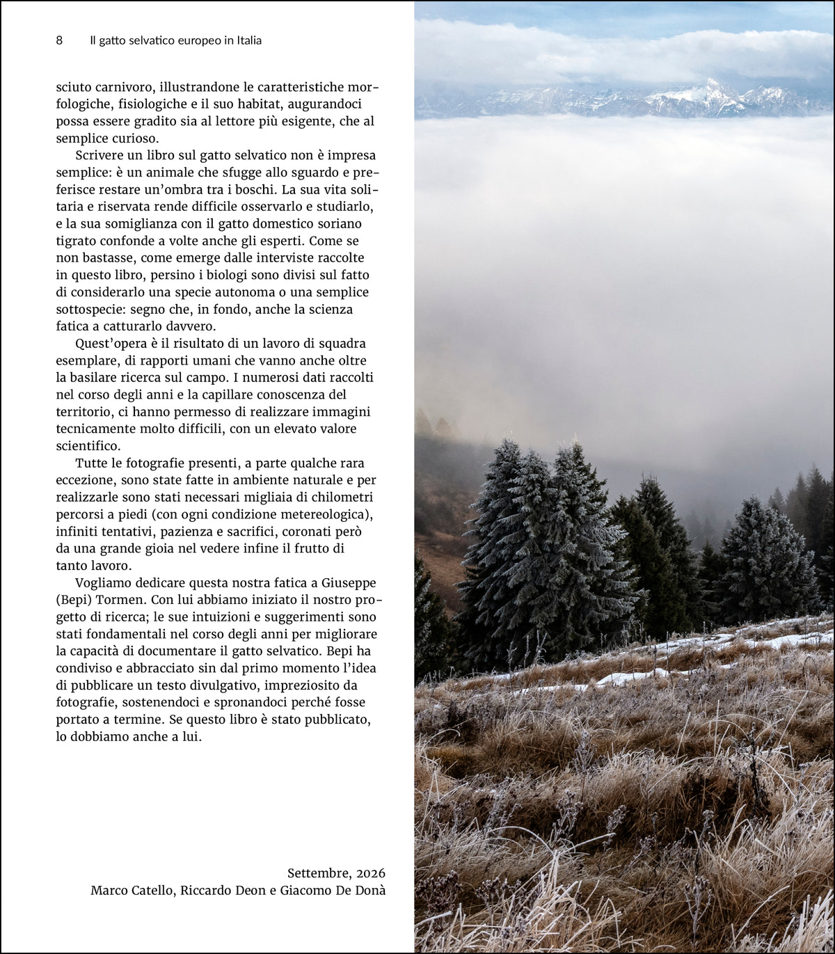 Il gatto selvatico europeo in Italia. Biologia, ecologia e conservazione