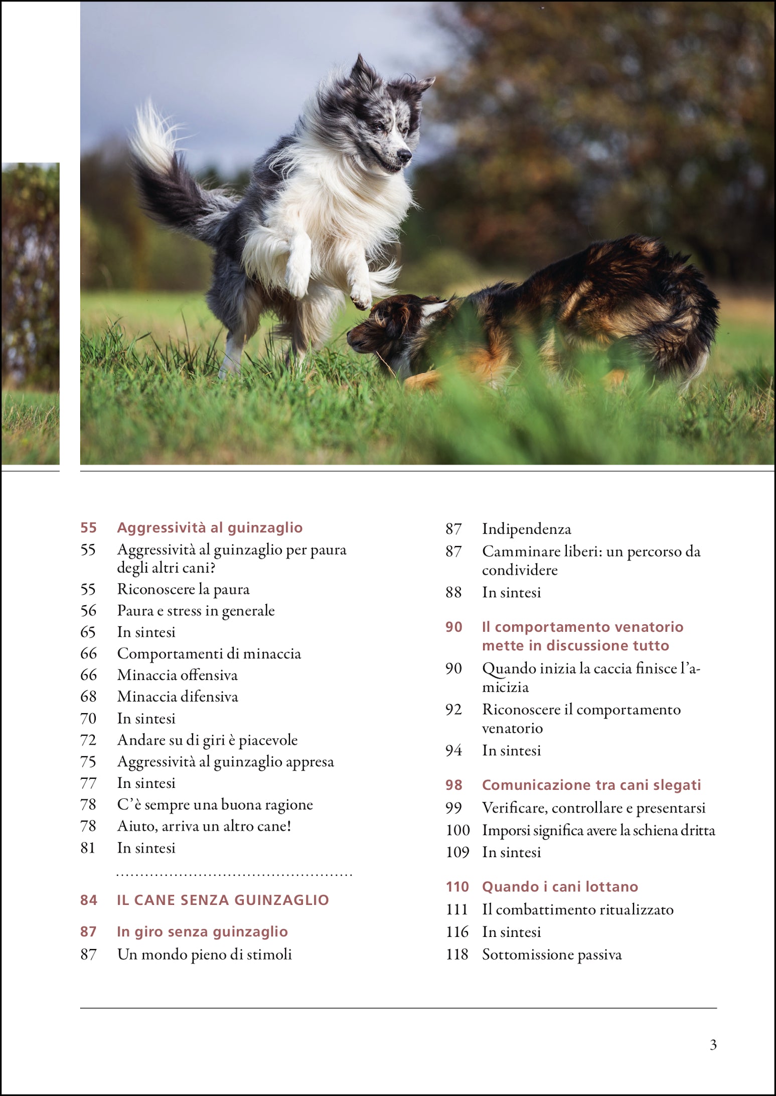 Imparare a leggere i cani. Il comportamento dei cani spiegato in modo pratico