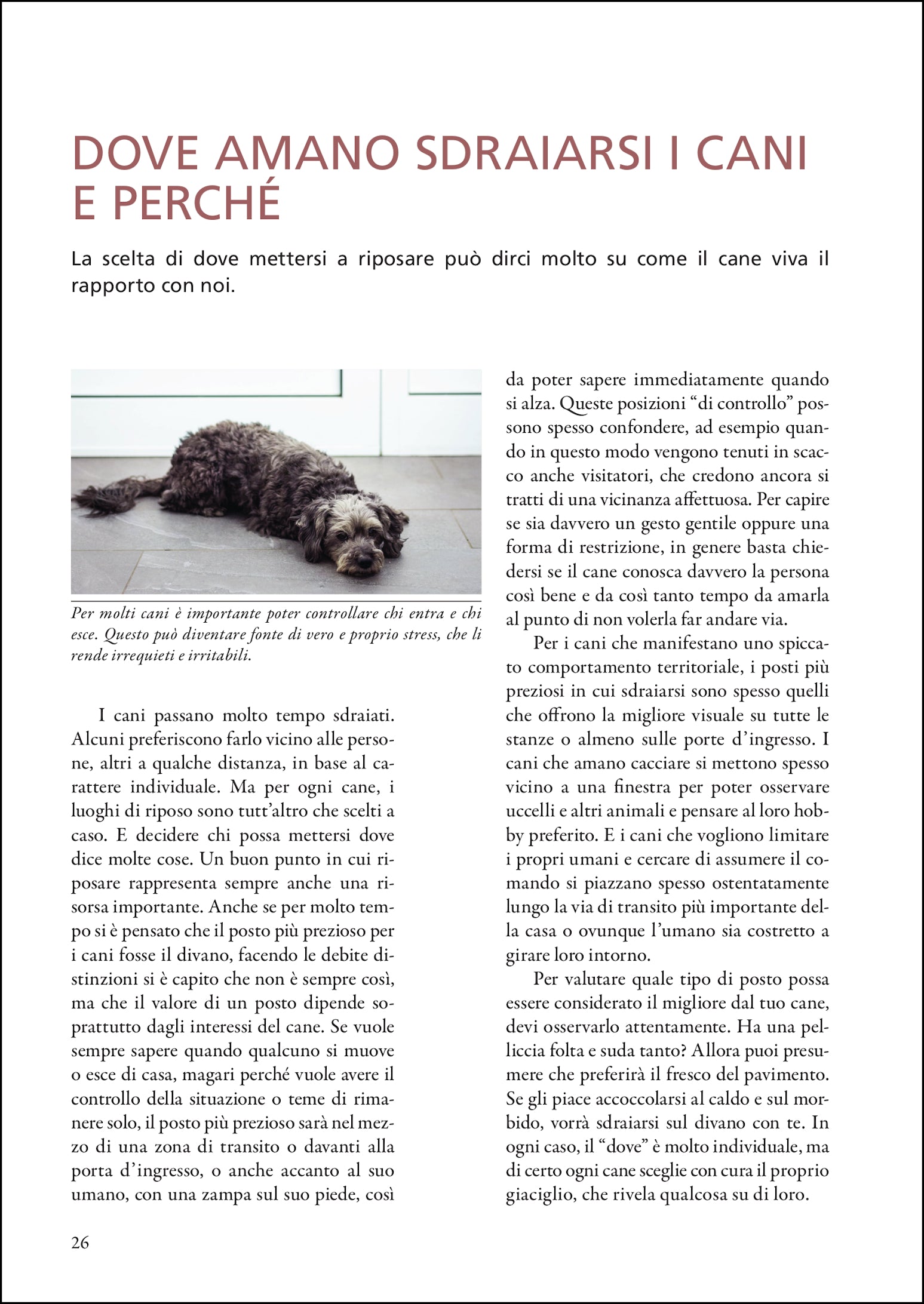 Imparare a leggere i cani. Il comportamento dei cani spiegato in modo pratico