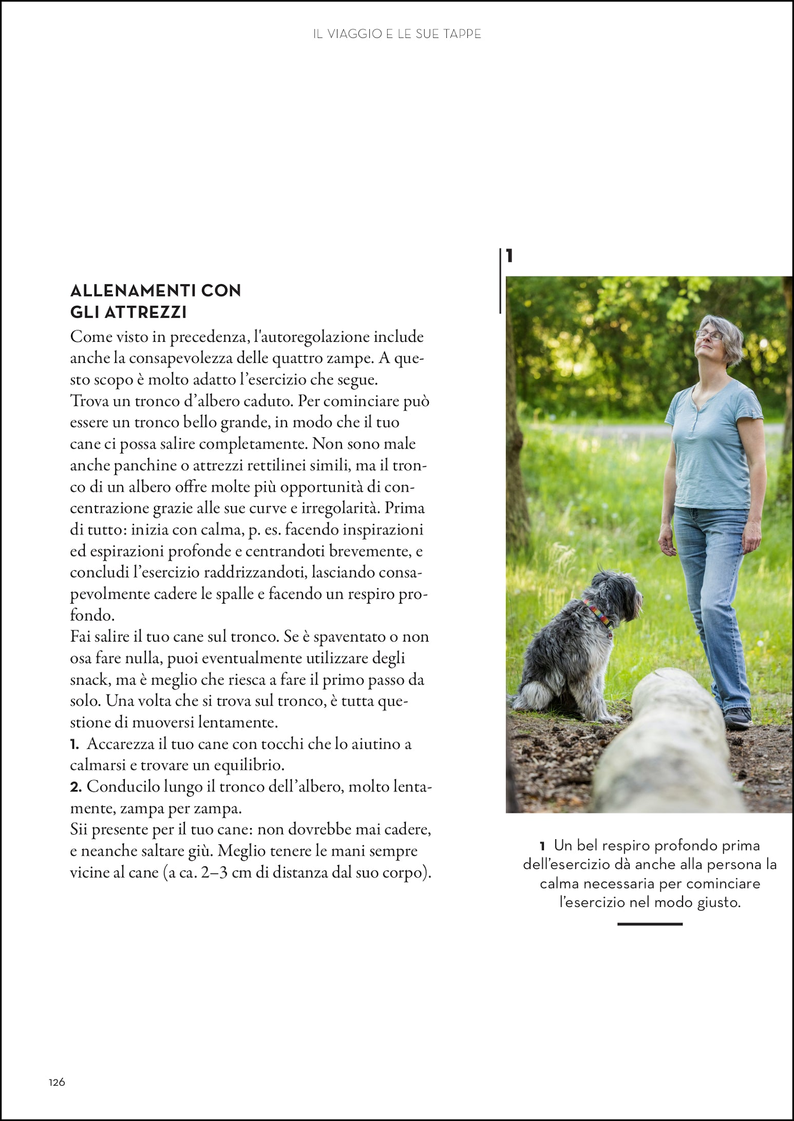 La resilienza nei cani. Per una gestione serena di conflitti e stress