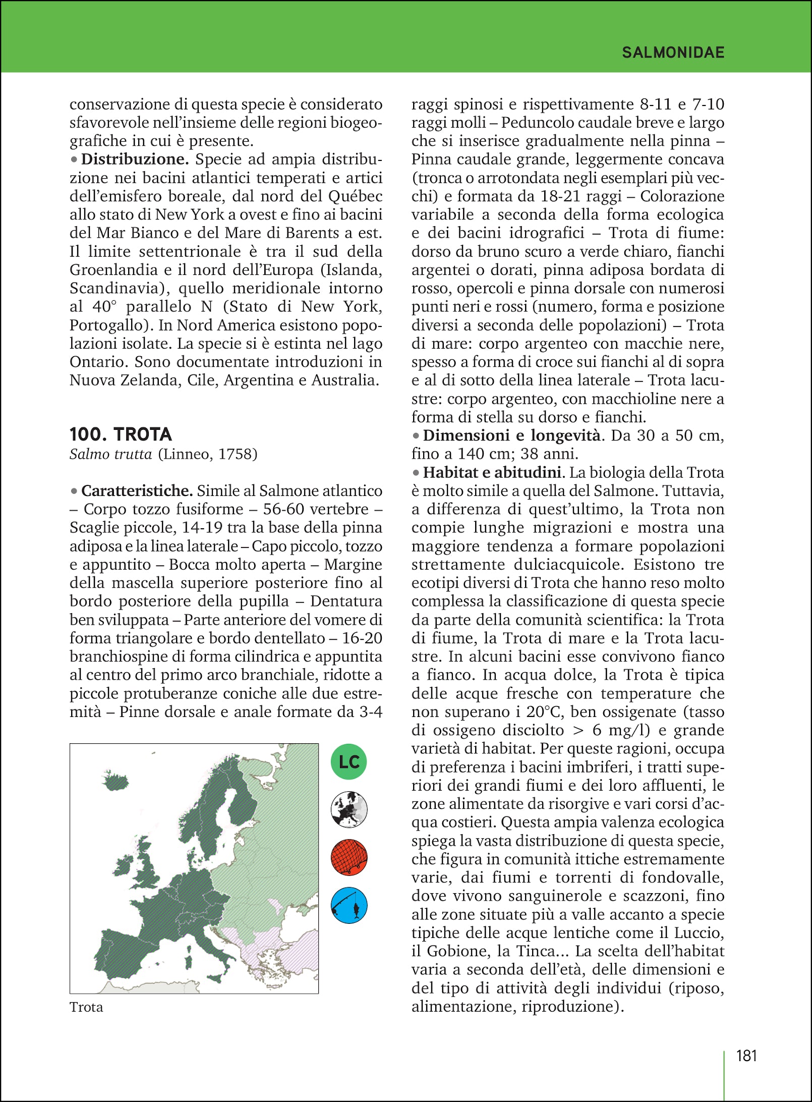 Pesci d'acqua dolce d'Italia e d'Europa