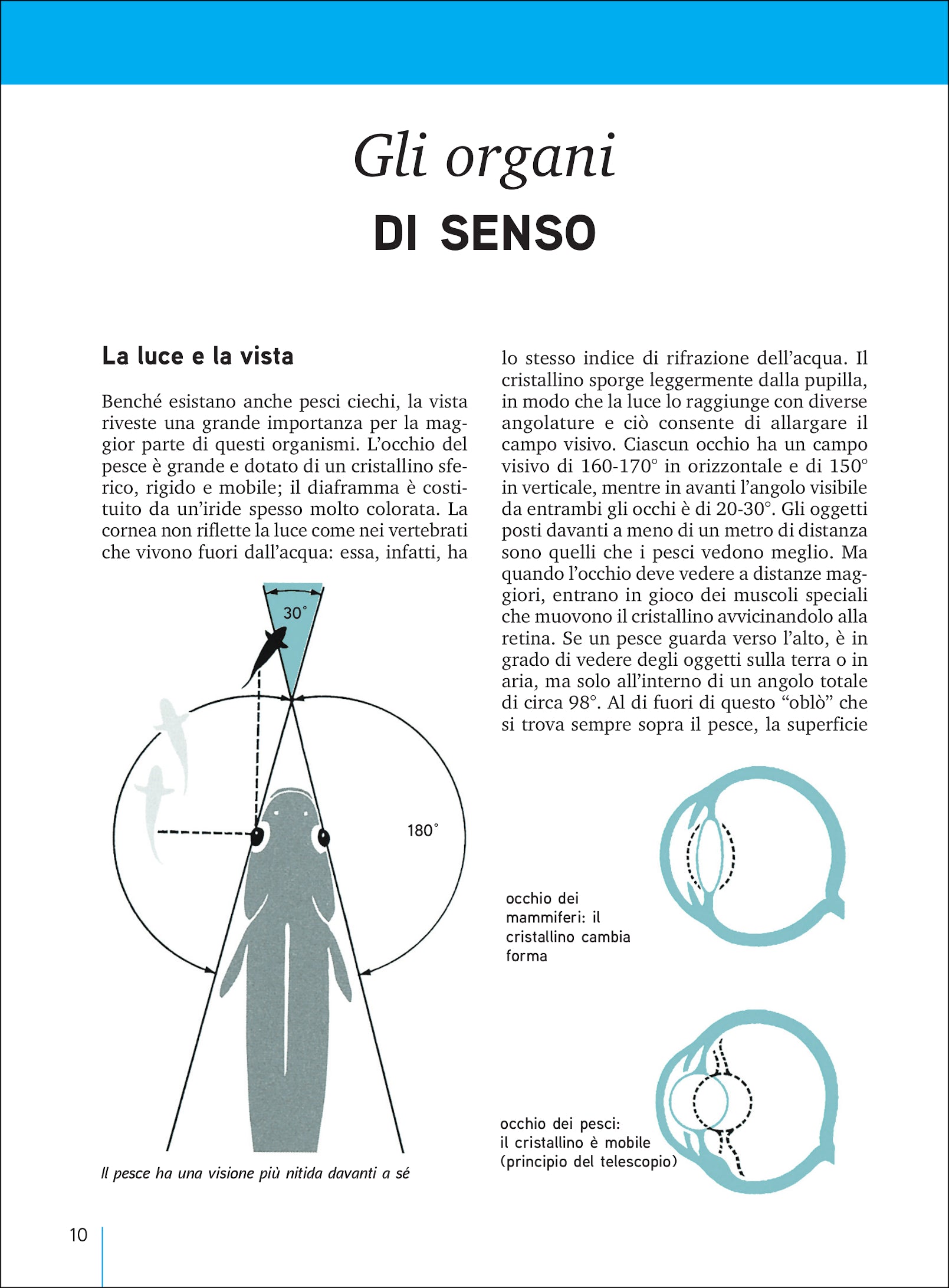 Pesci d'acqua dolce d'Italia e d'Europa