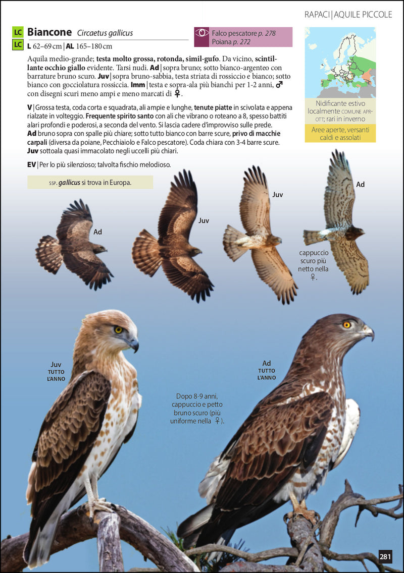Uccelli d'Europa. Guida all'identificazione