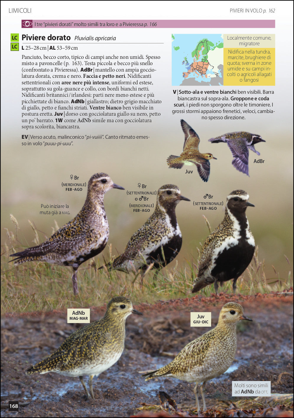 Uccelli d'Europa. Guida all'identificazione