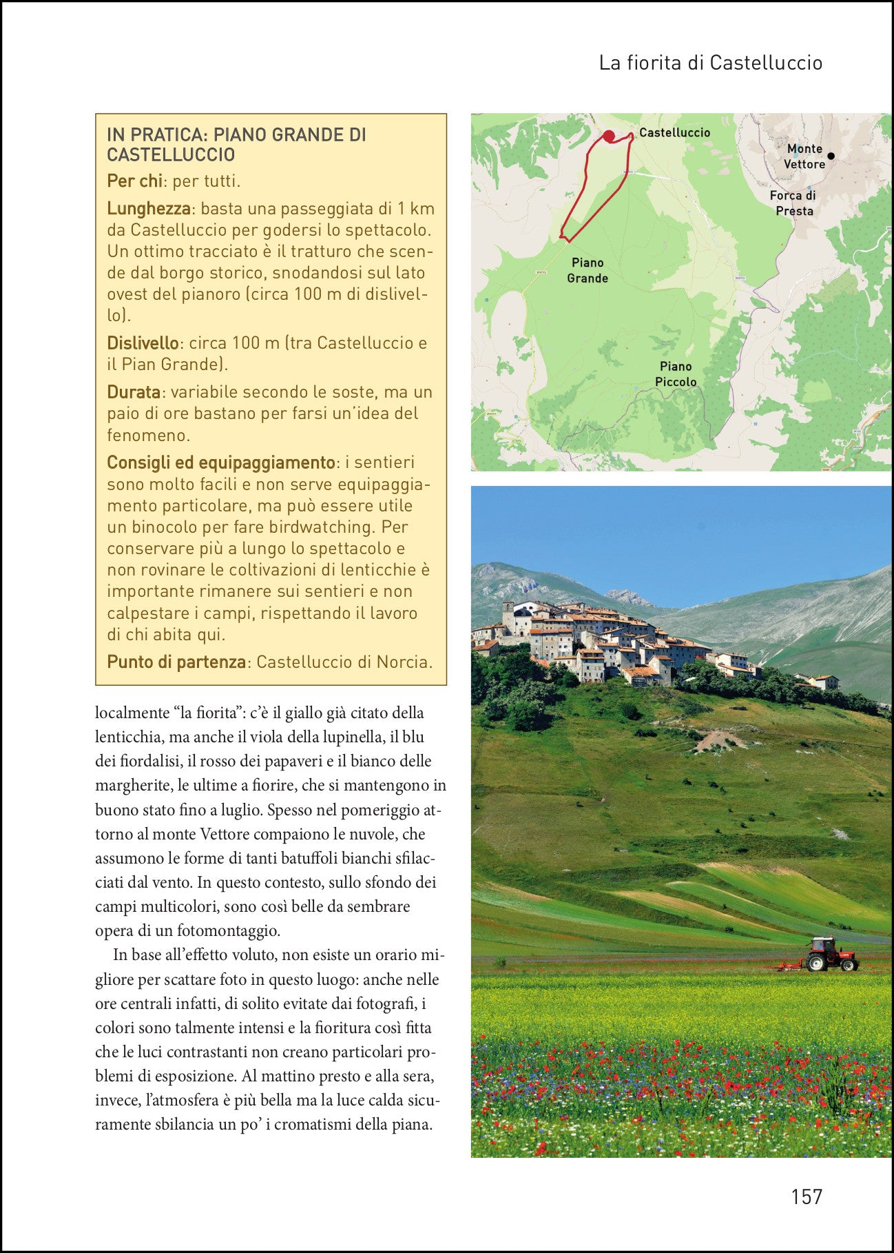 Viaggio nell'Italia selvaggia. Guida alle più belle esperienze naturalistiche