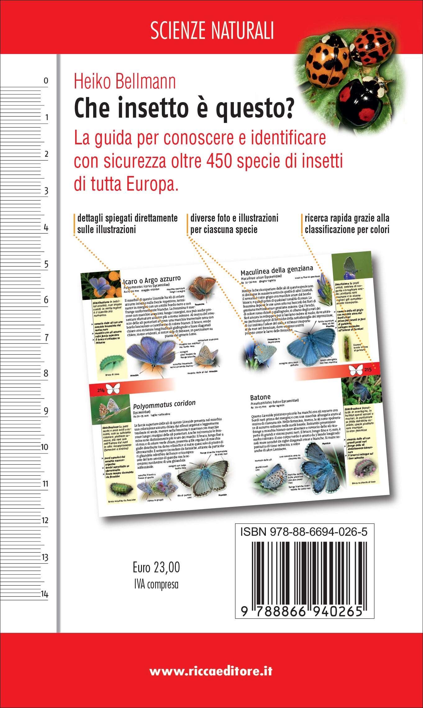 libro che insetto è questo ricca editore quarta copertina