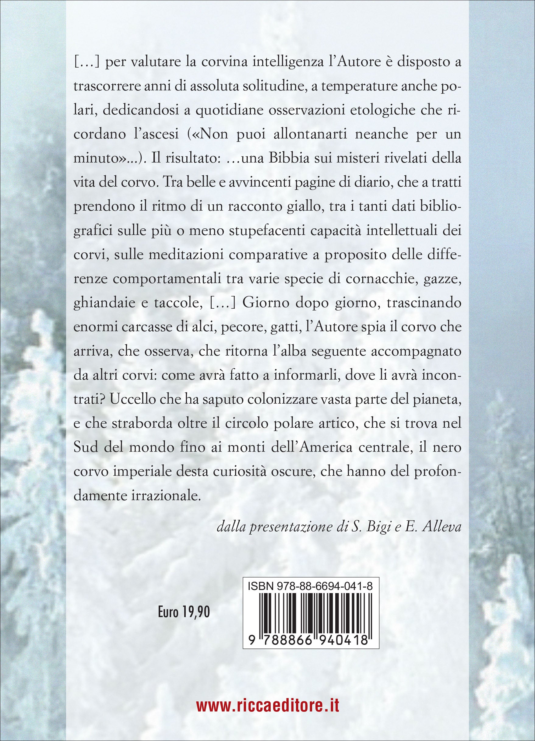 Corvi d'inverno