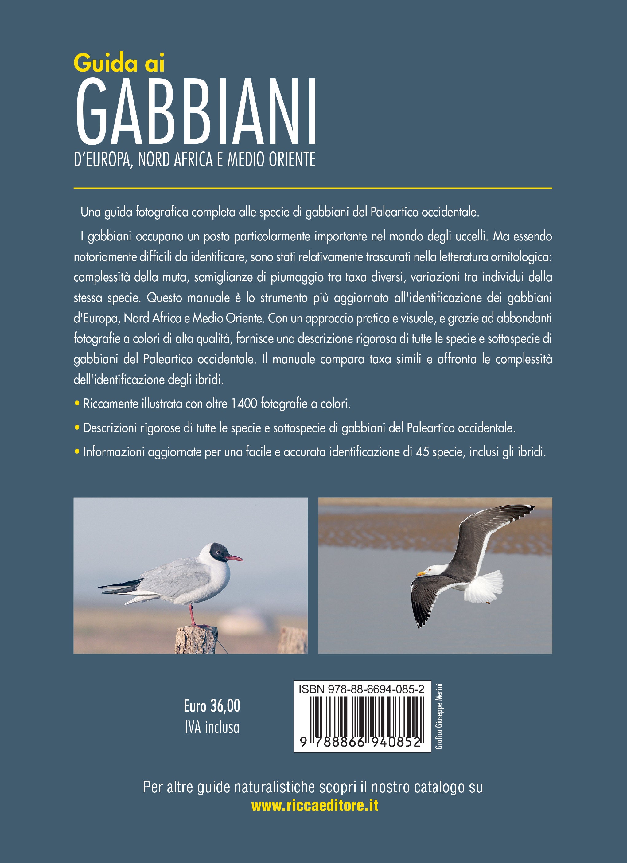 libro guida ai gabbiani europa nord africa medio oriente quarta copertina