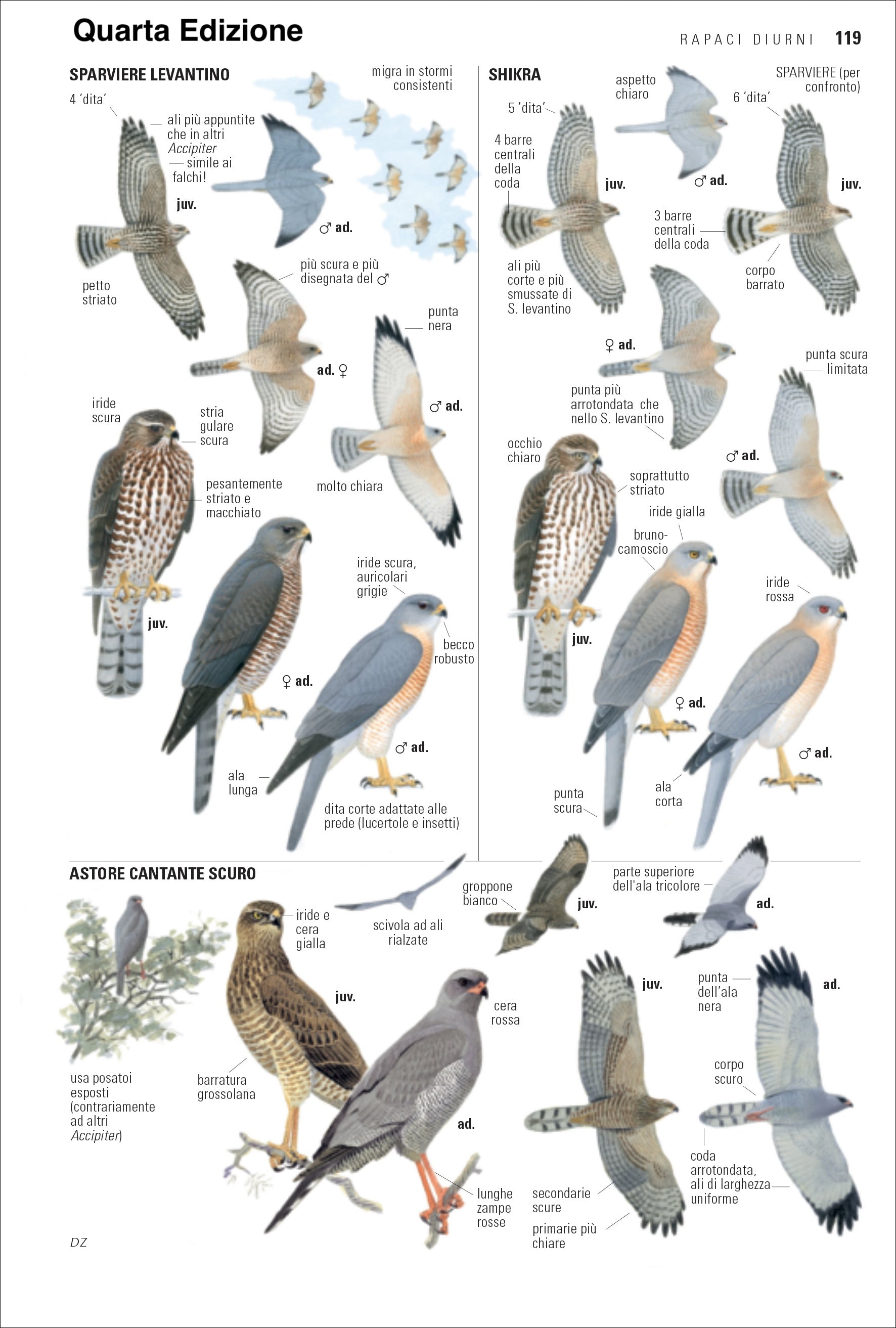 Guida degli uccelli d'Europa, Nord Africa e Vicino Oriente