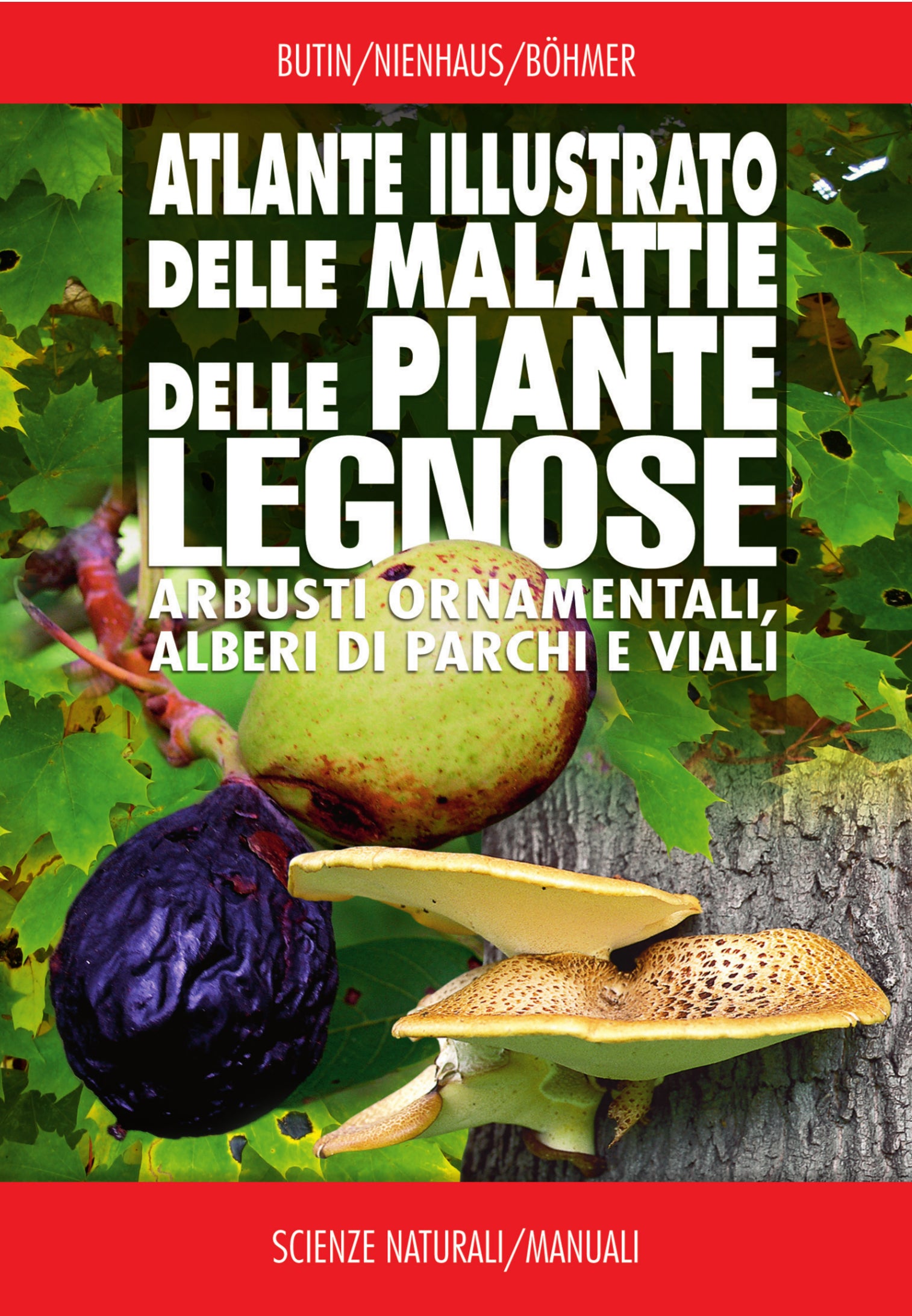 Atlante illustrato malattie delle piante legnose. Arbusti ornamentali, alberi di parchi e viali