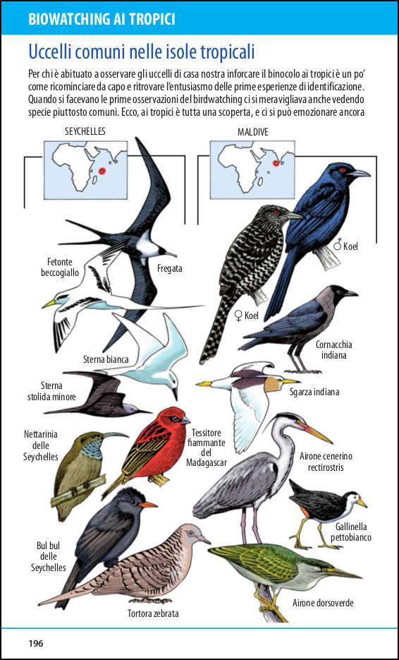 Biowatching. Italia, Mediterraneo e tropici. Guida all'osservazione