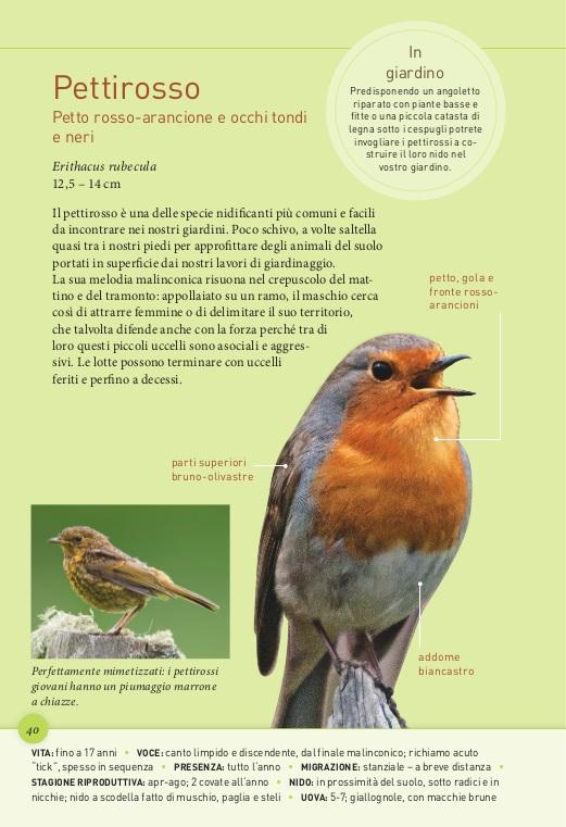 Birdgardening. Uccelli del giardino a grandezza naturale