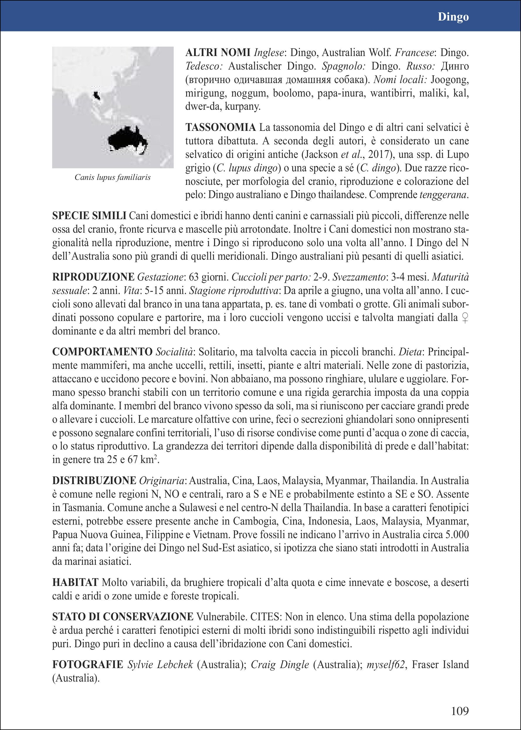 Canidi del mondo. Lupi, cani, volpi, sciacalli, coyote e loro parenti