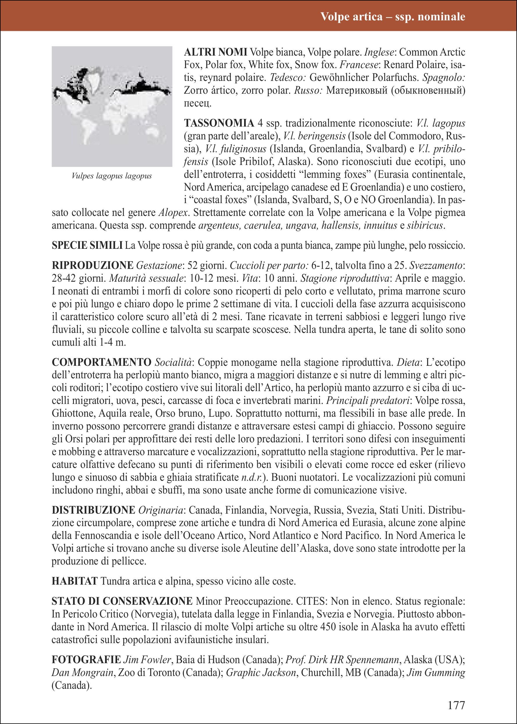 Canidi del mondo. Lupi, cani, volpi, sciacalli, coyote e loro parenti