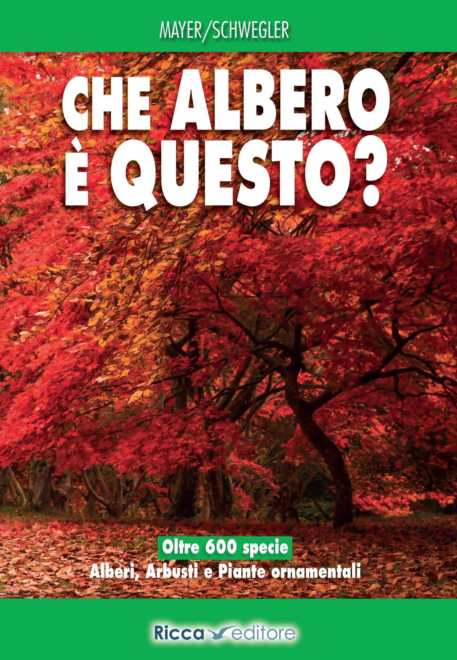 Che albero è questo? Guida al riconoscimento di arbusti, alberi e piante ornamentali