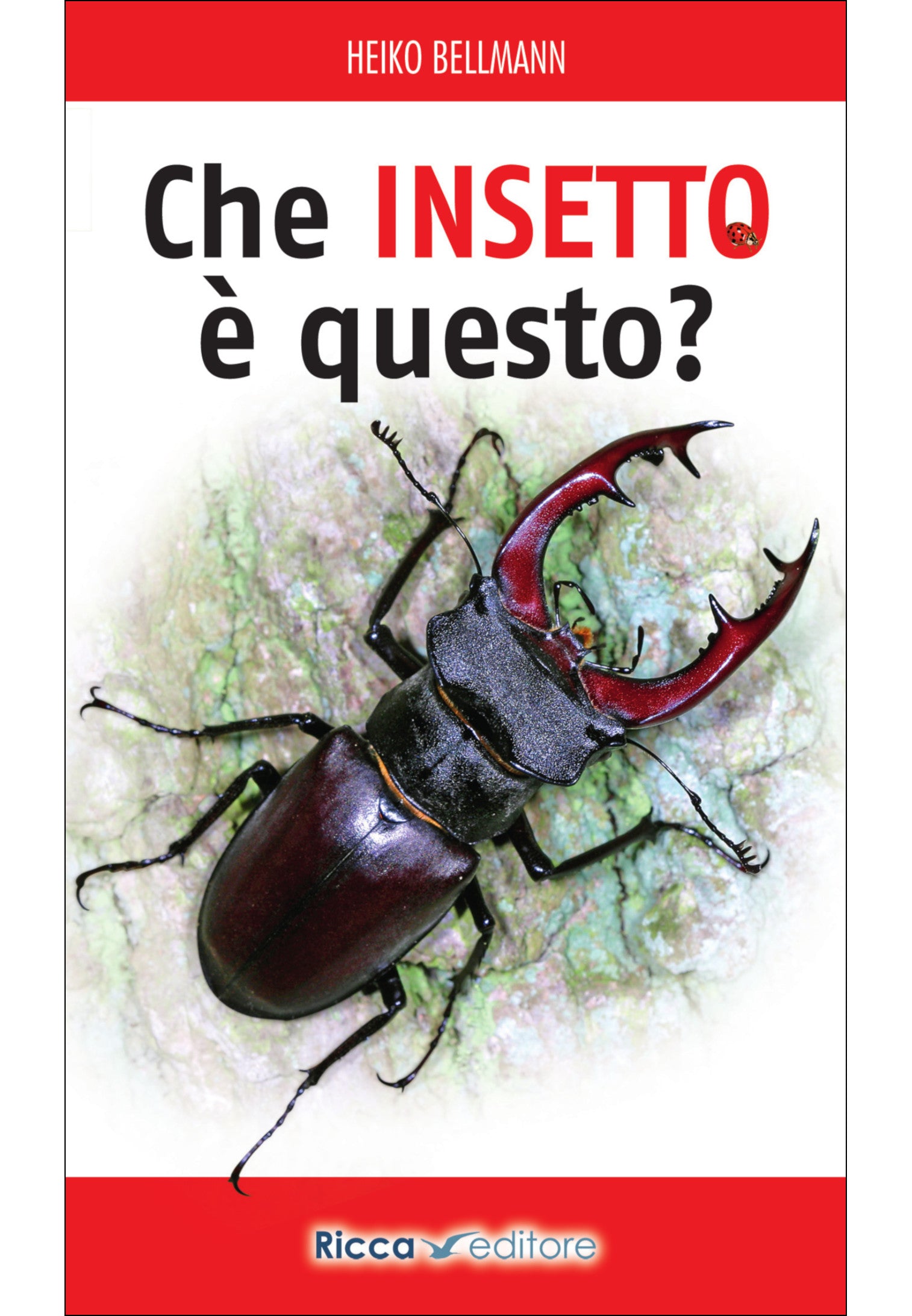 Che insetto è questo?