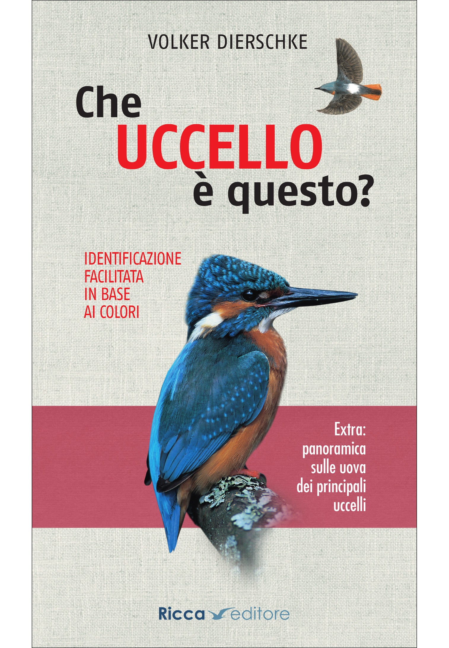 Che uccello è questo?