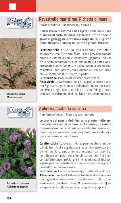 Flora del Mediterraneo