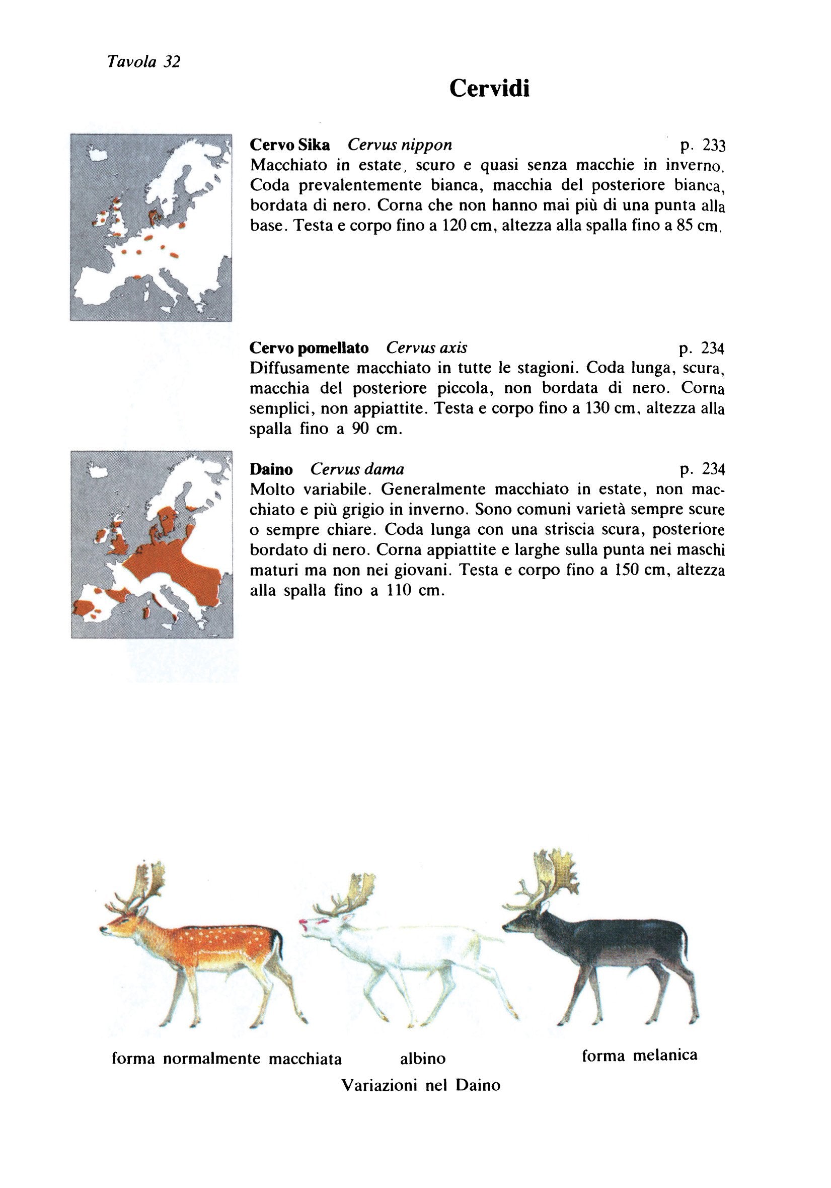 Guida dei mammiferi d'Europa