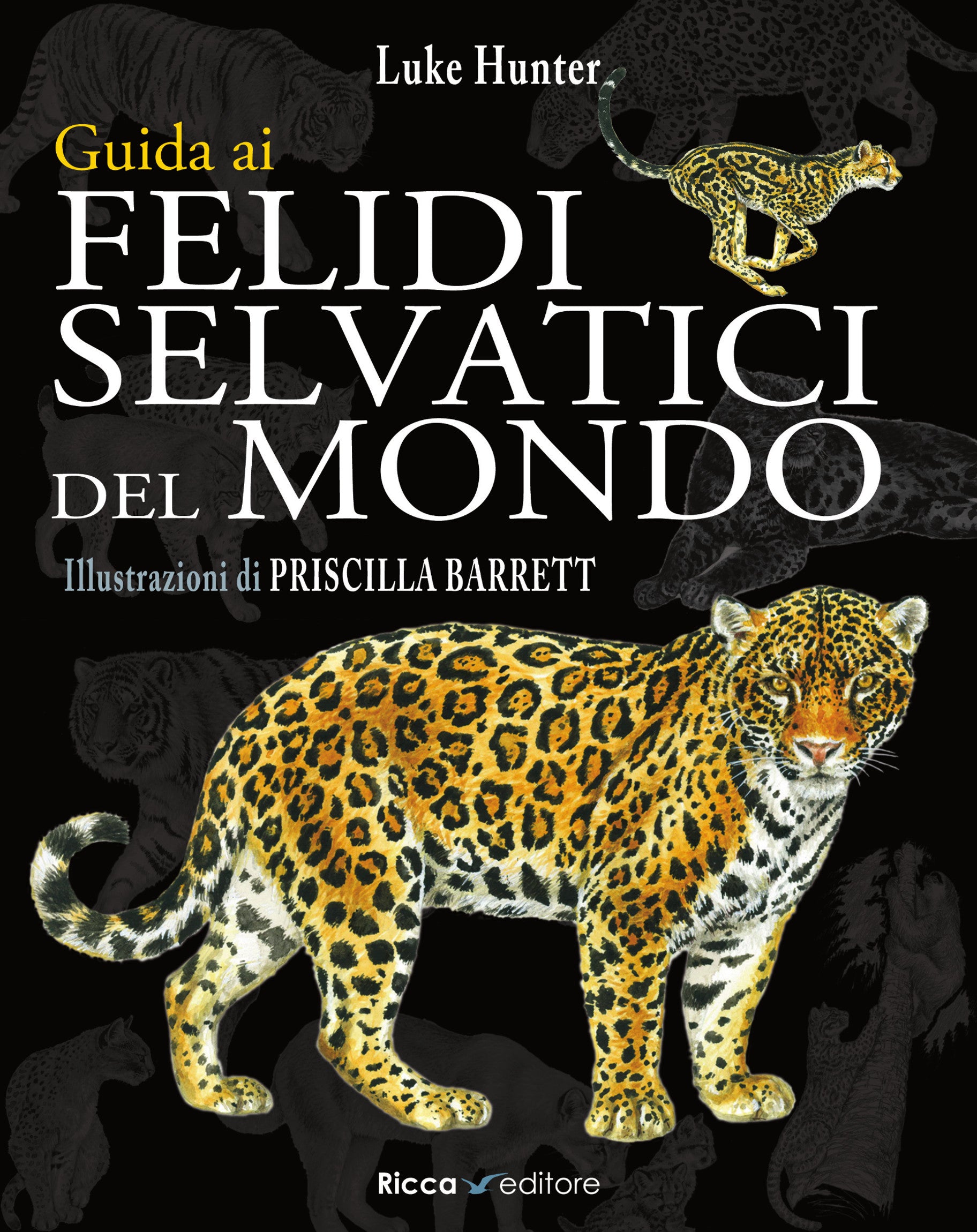 Guida ai felidi selvatici del mondo