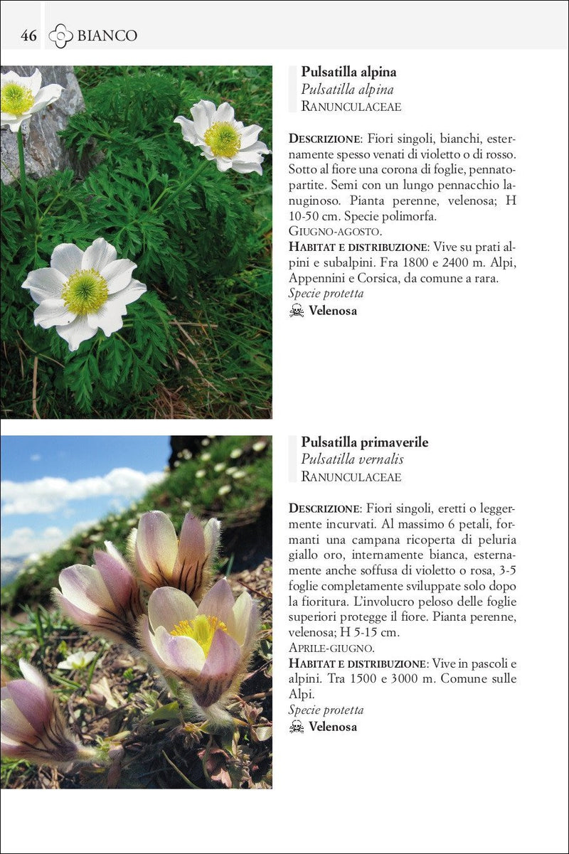 Guida ai fiori di montagna. 240 specie illustrate con fotografie a colori
